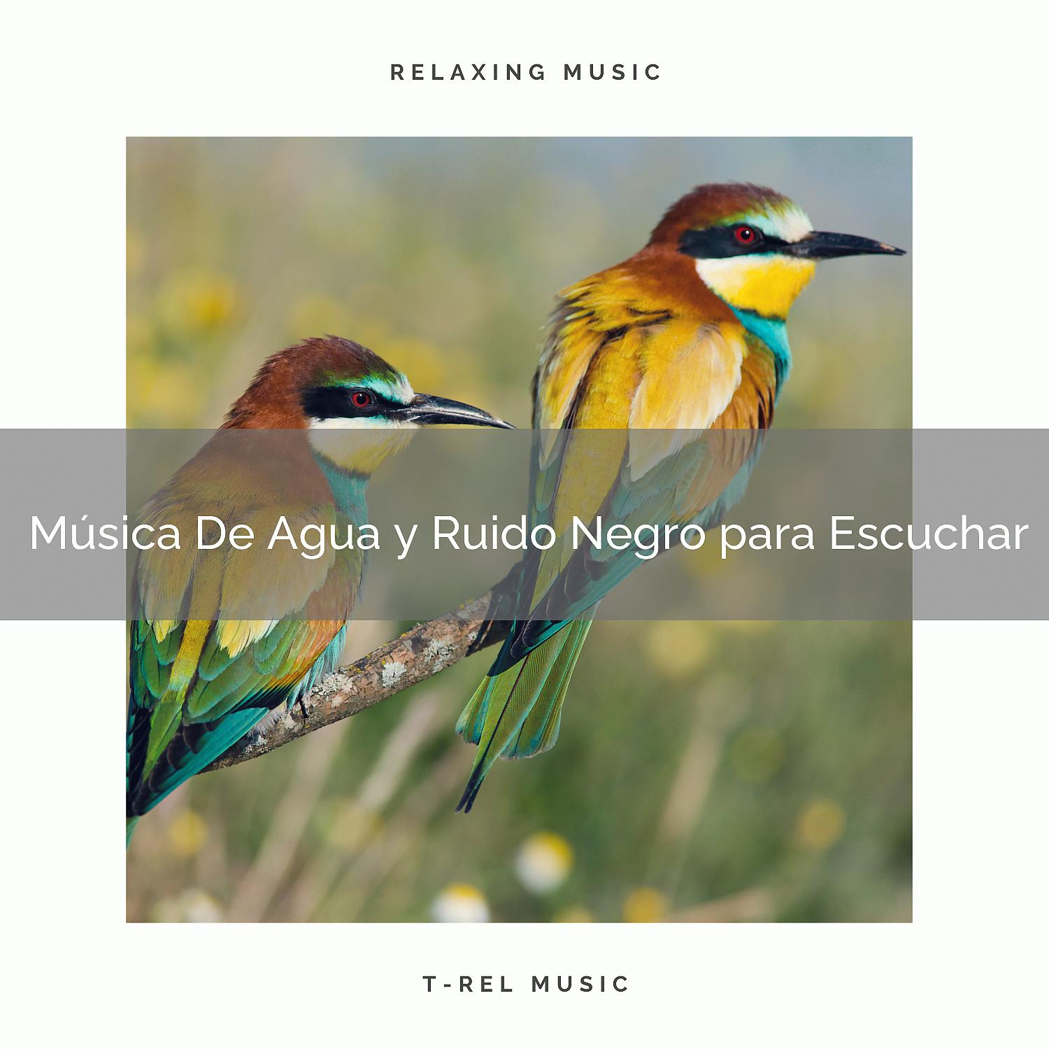 Постер альбома Música De Agua y Ruido Negro para Escuchar