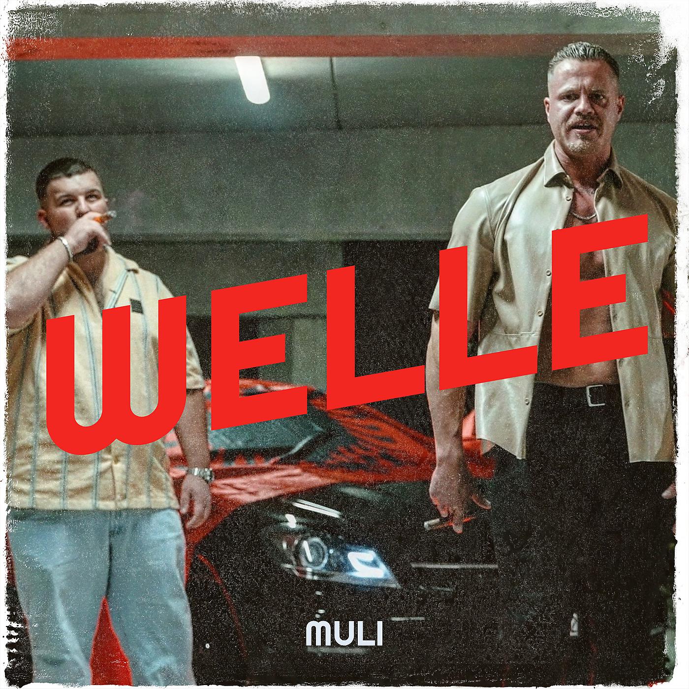 Постер альбома Welle