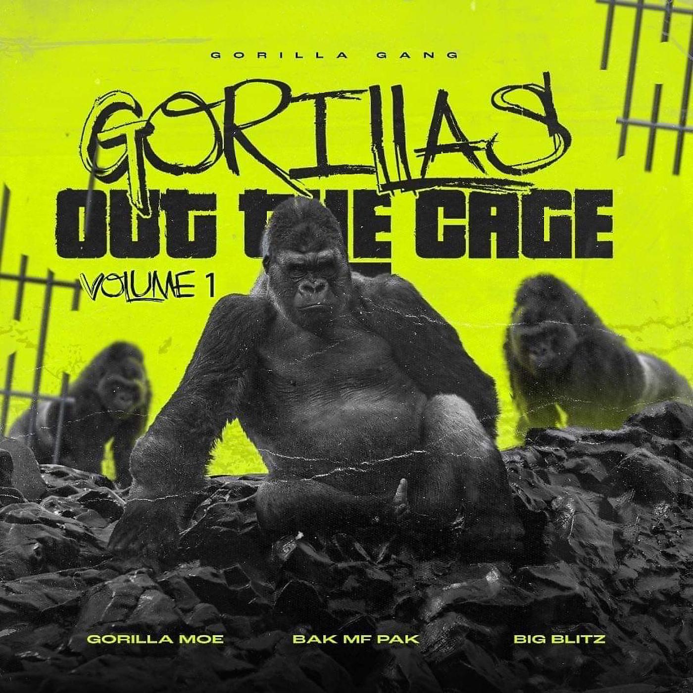 Постер альбома Gorillas out the Cage Volume 1