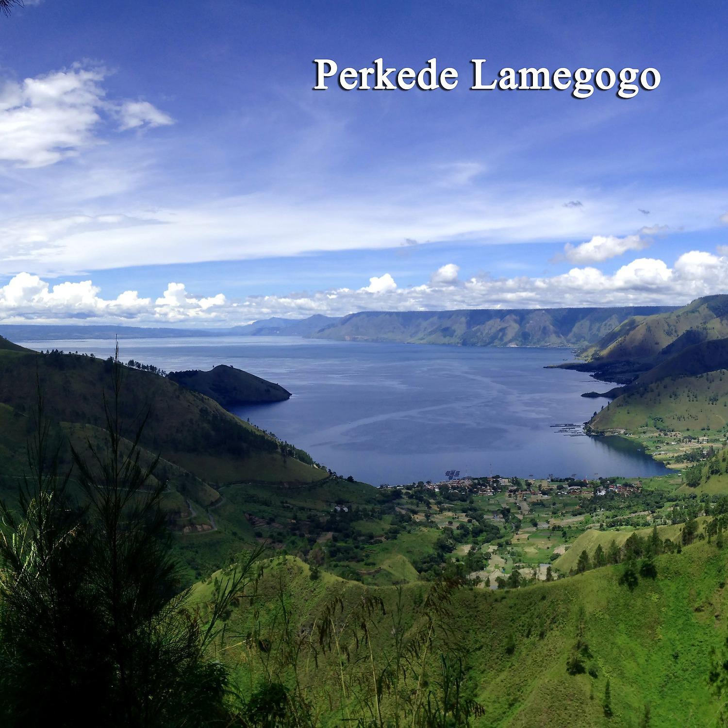 Постер альбома Perkede Lamegogo