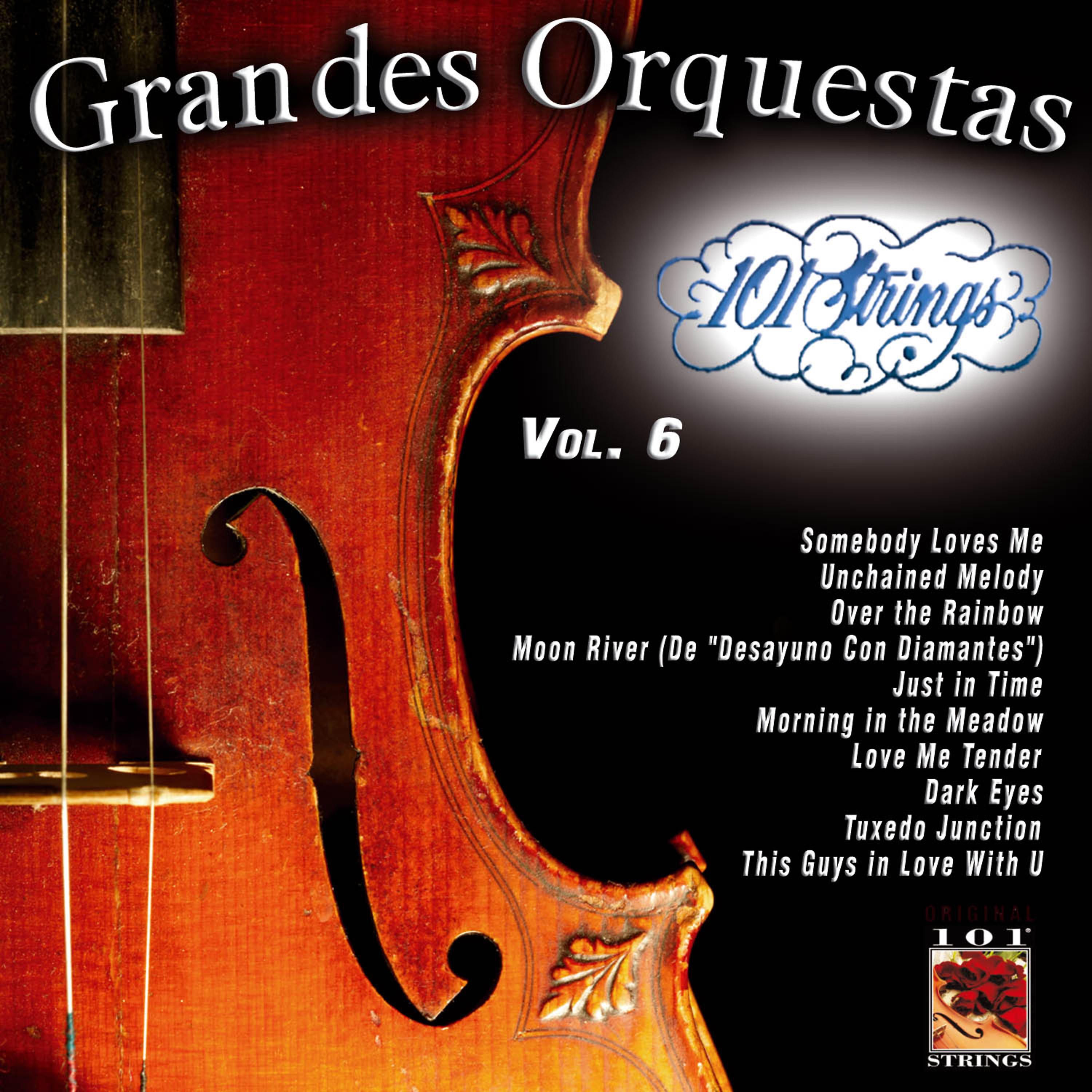 Постер альбома 101 Strings Grandes Orquestas Vol. 6