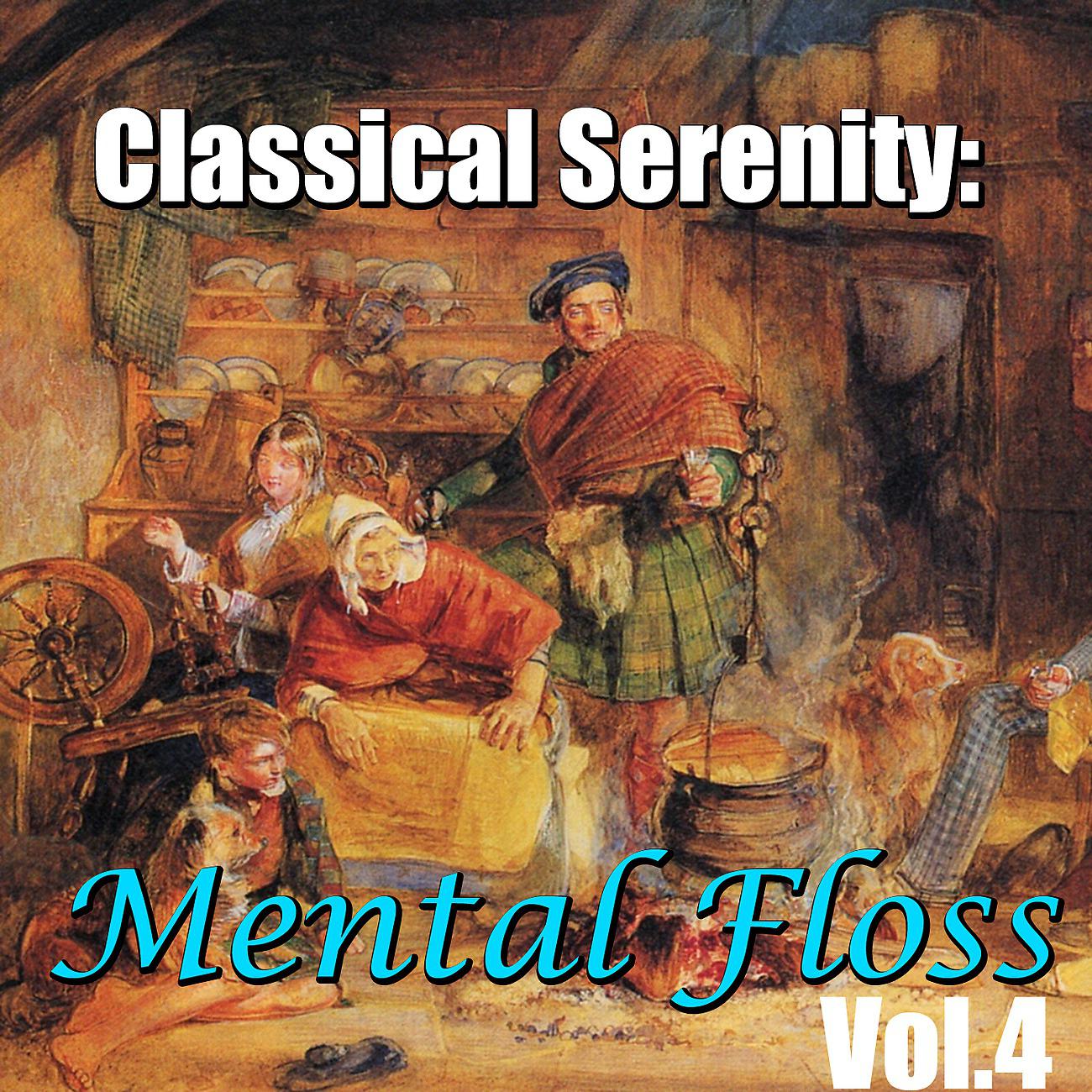 Постер альбома Classical Serenity: Mental Floss, Vol.4