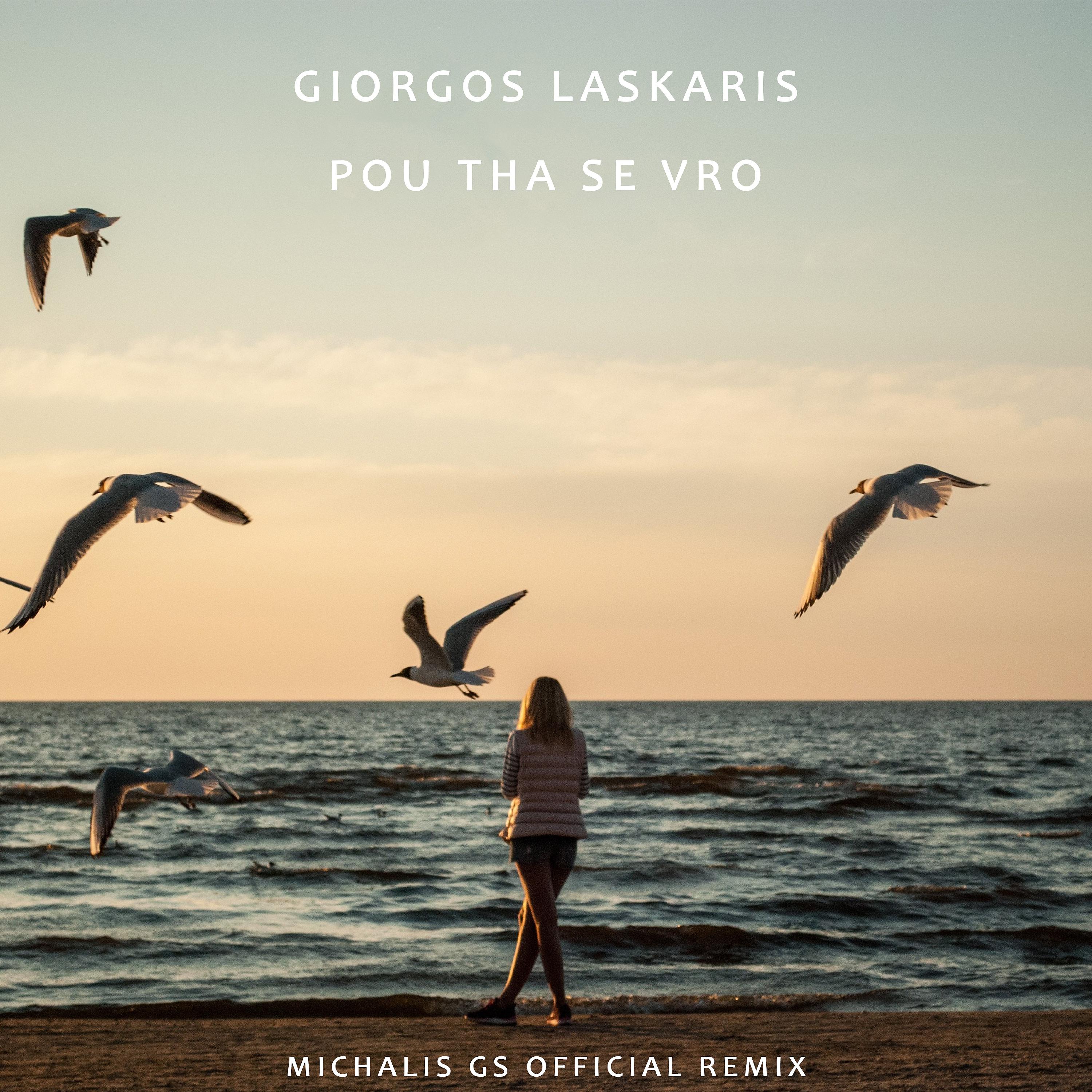 Постер альбома Pou Tha Se Vro (Michalis GS Remix)