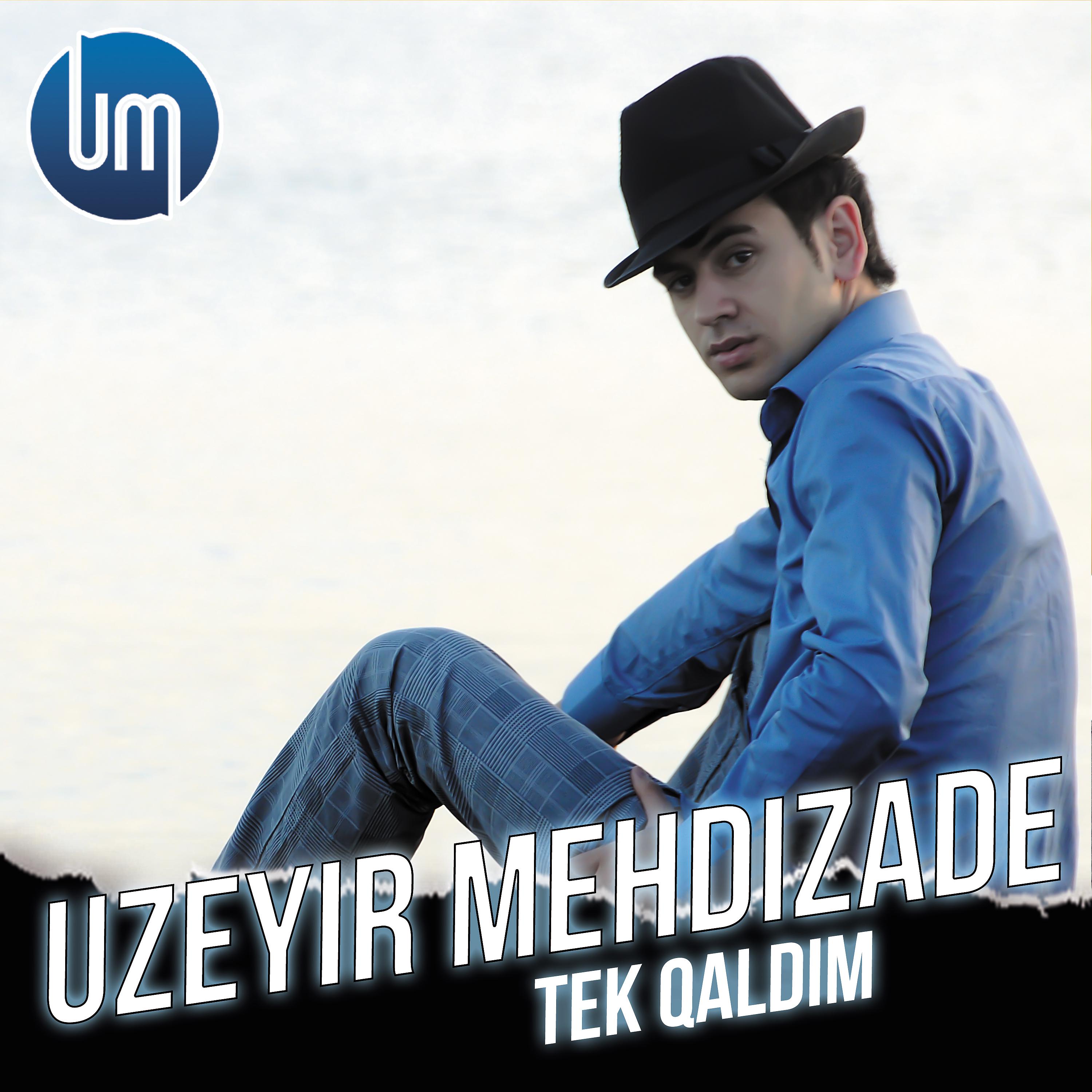 Постер альбома Tek Qaldim