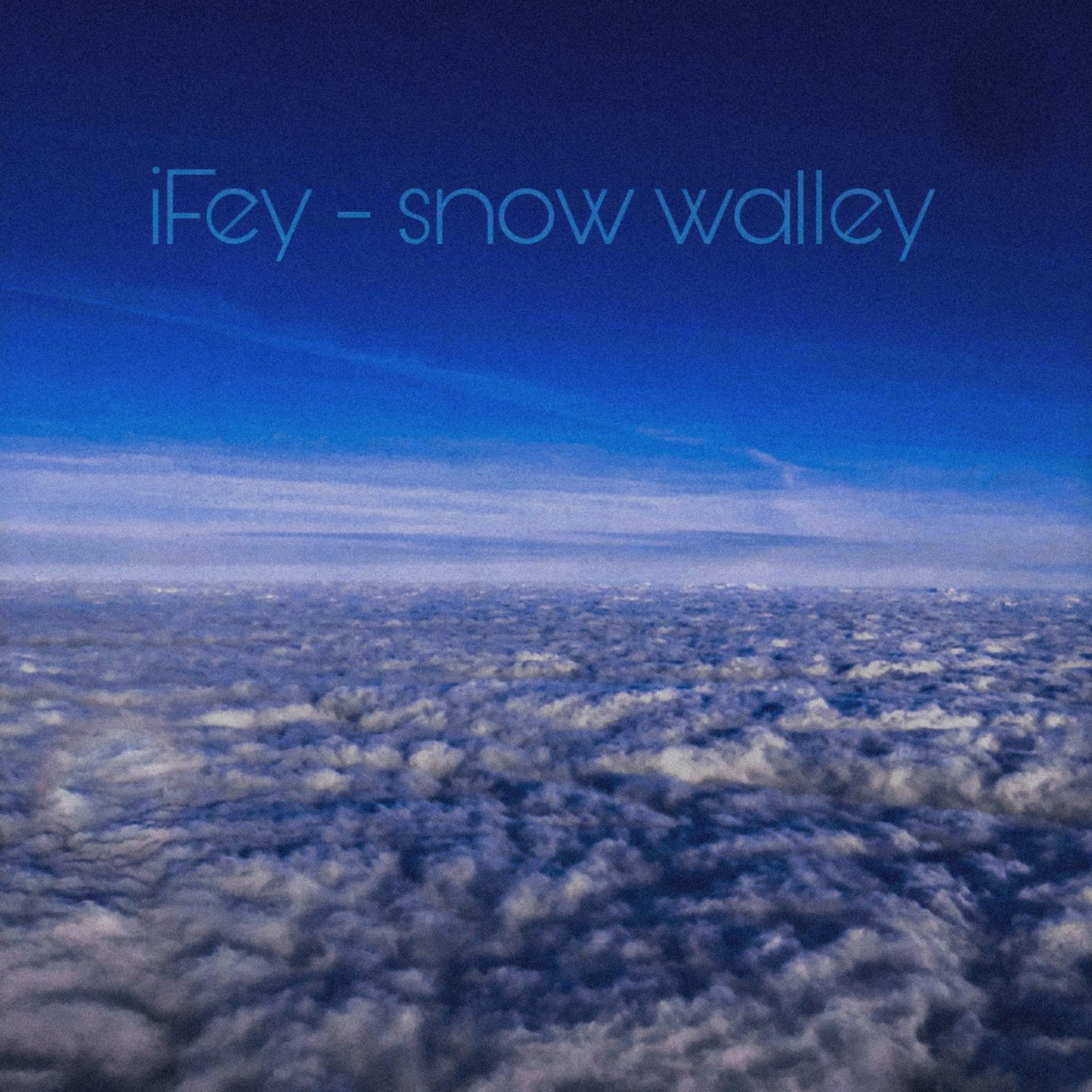 Постер альбома Snow Walley