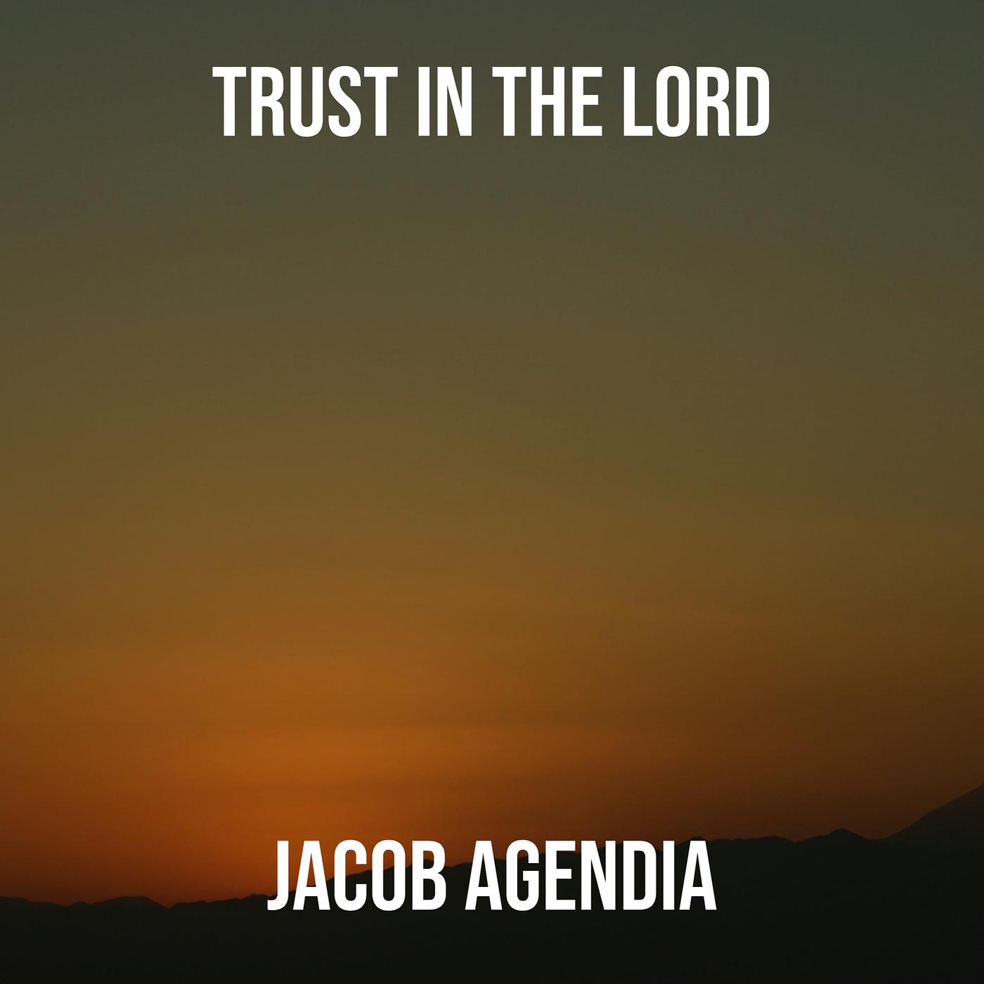 Постер альбома Trust in the Lord