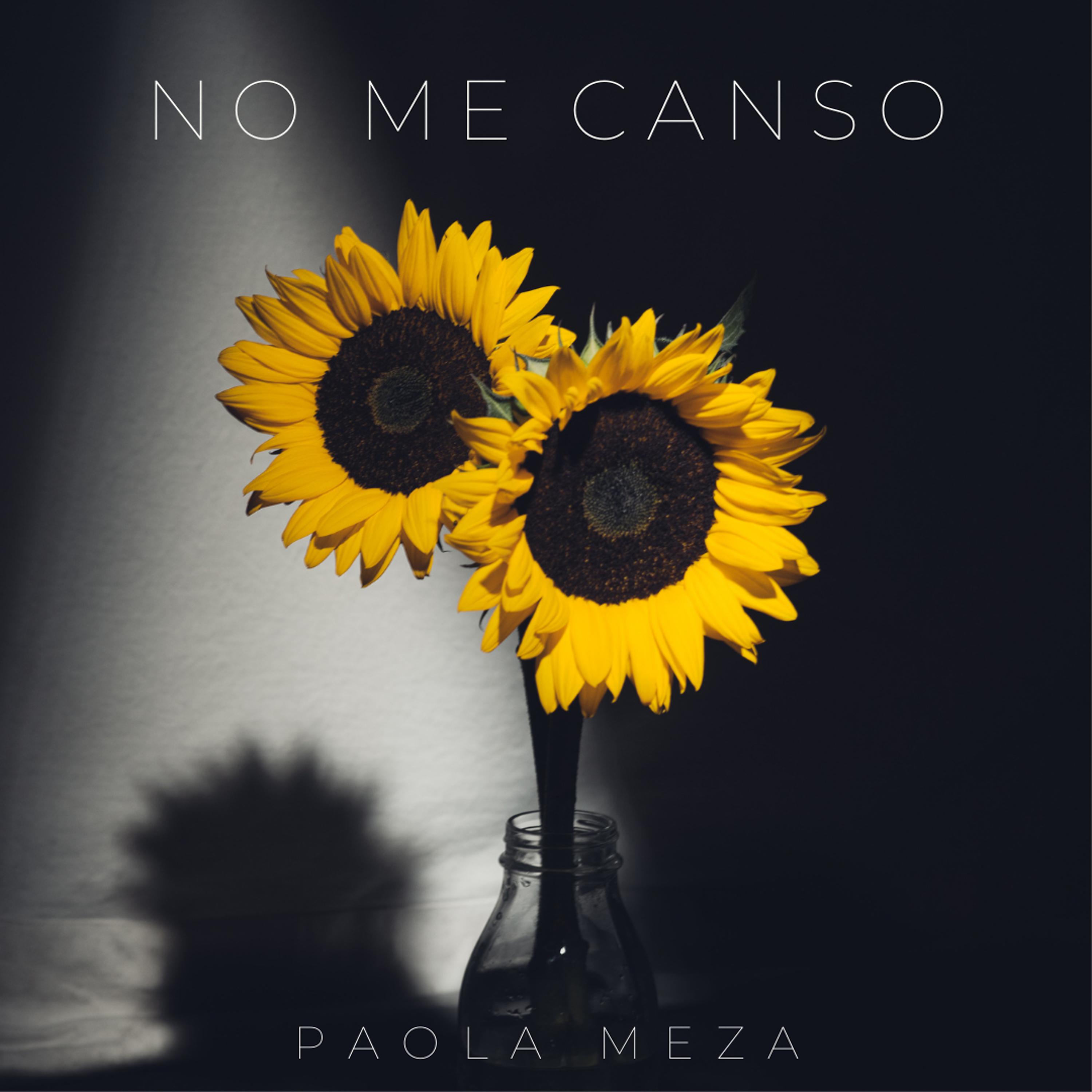 Постер альбома No Me Canso