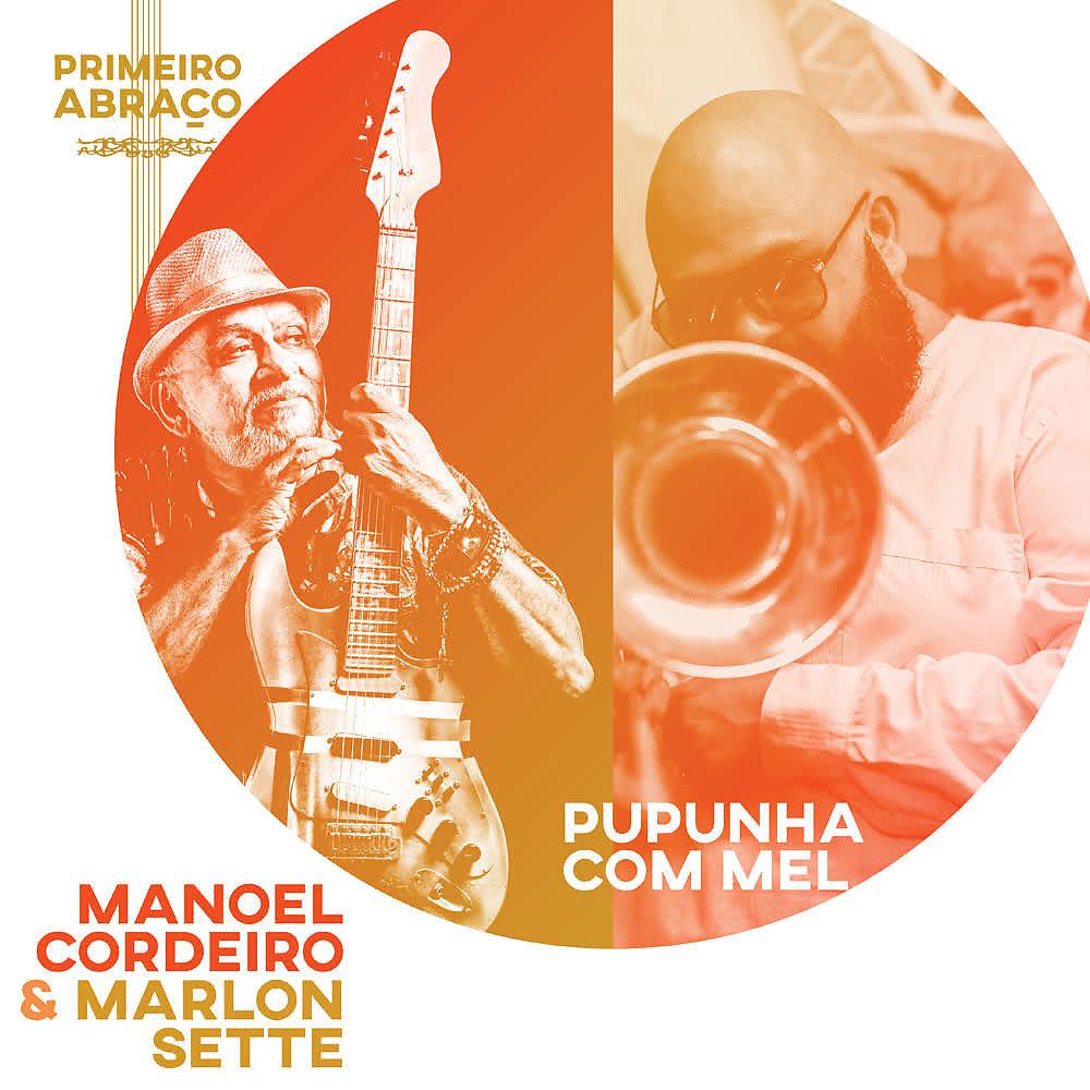 Постер альбома Pupunha Com Mel