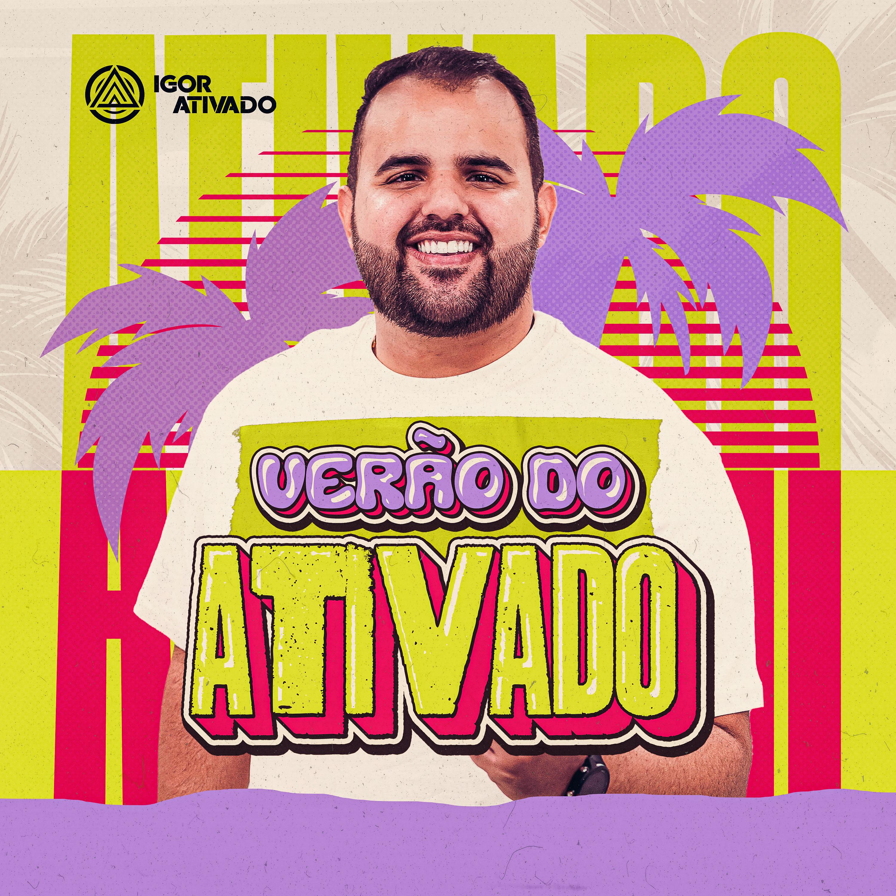 Постер альбома Verão do Ativado