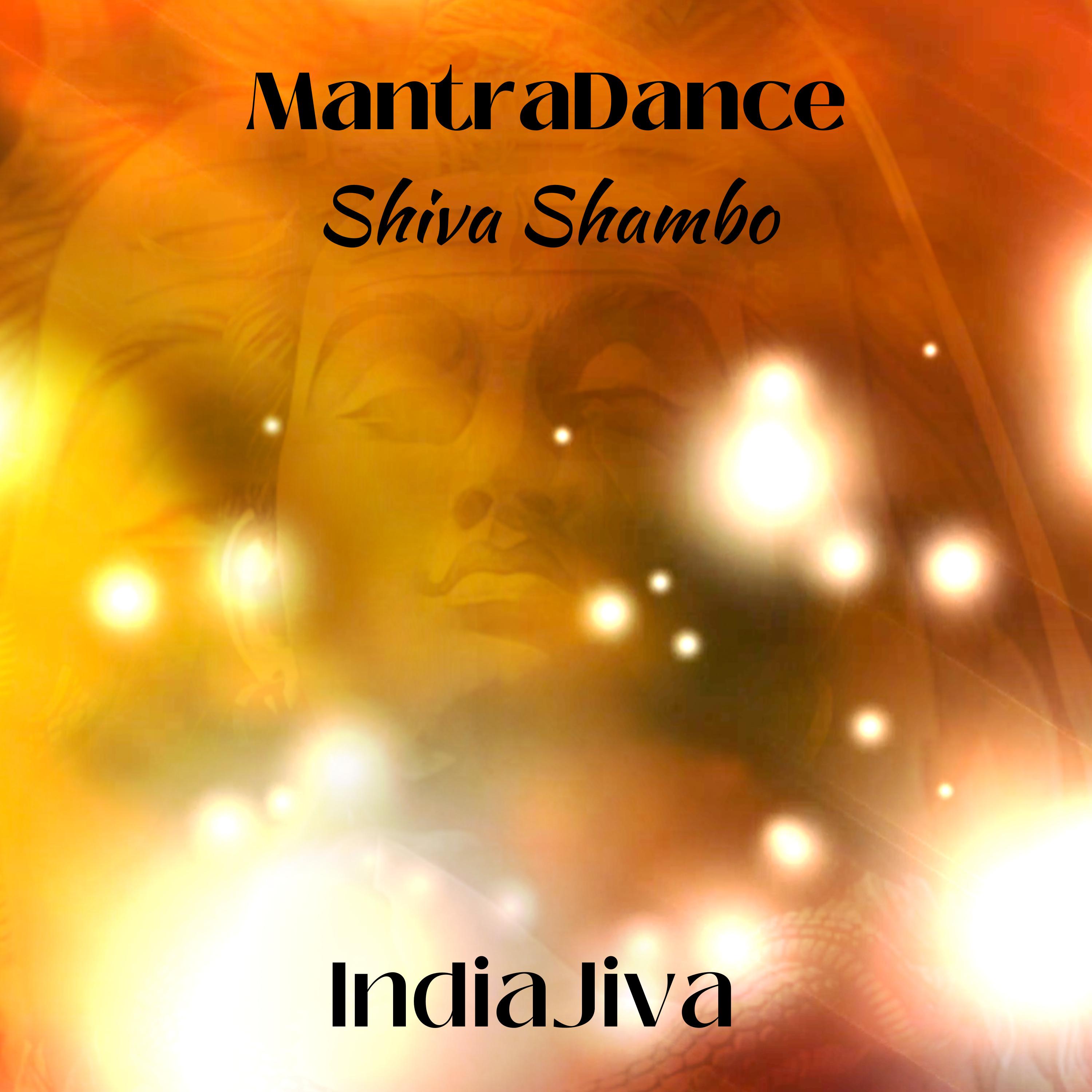 Постер альбома Mantra Dance (Shiva Shambo)