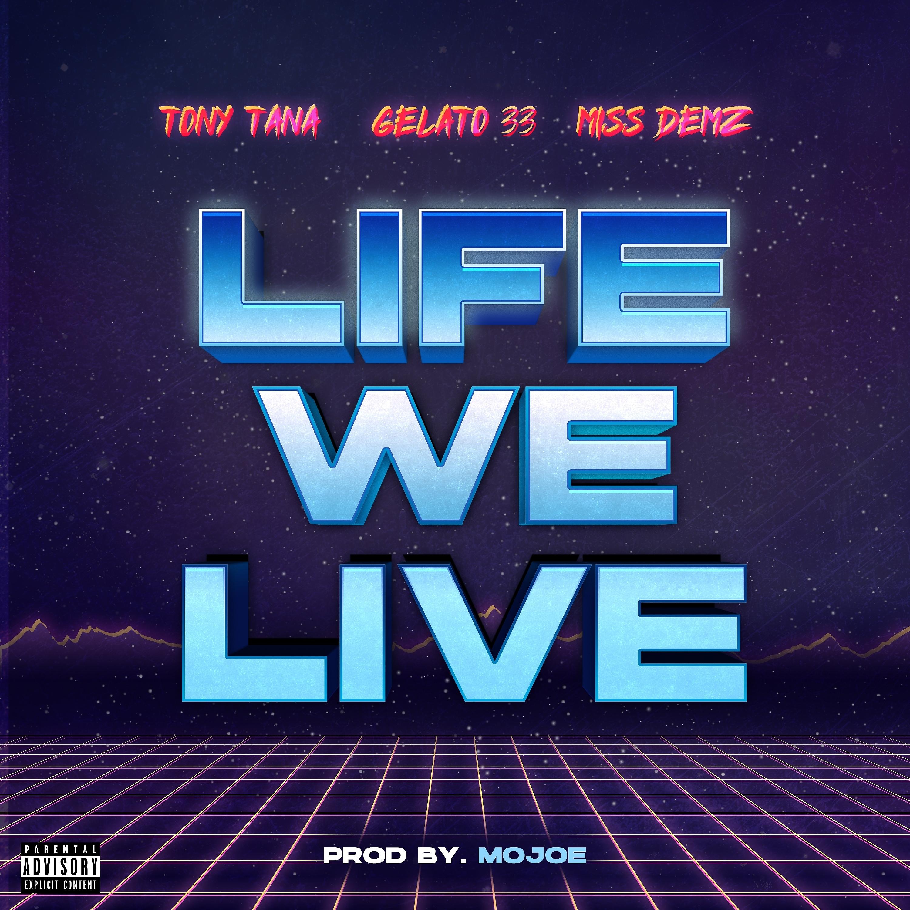 Постер альбома Life We Live