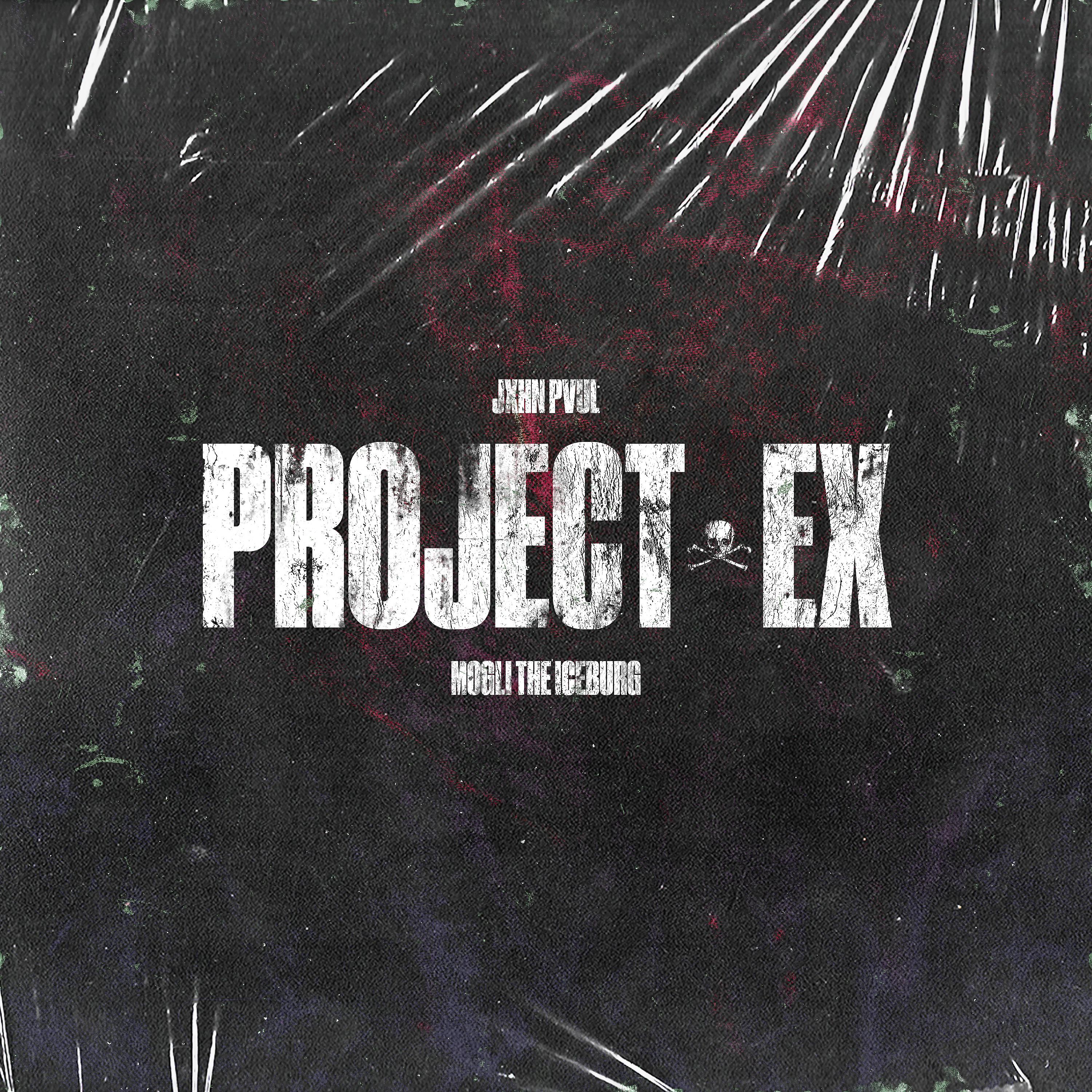 Постер альбома Project Ex