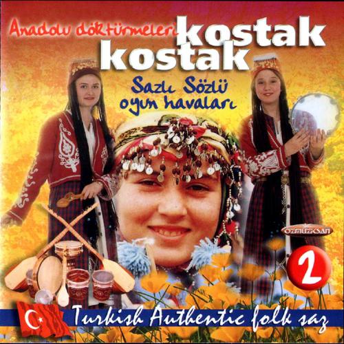 Постер альбома Sazlı Sözlü Oyun Havaları, Vol. 2