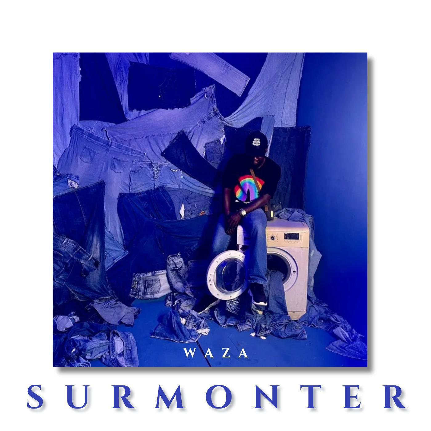 Постер альбома Surmonter (feat. beokmusic & LIIX)