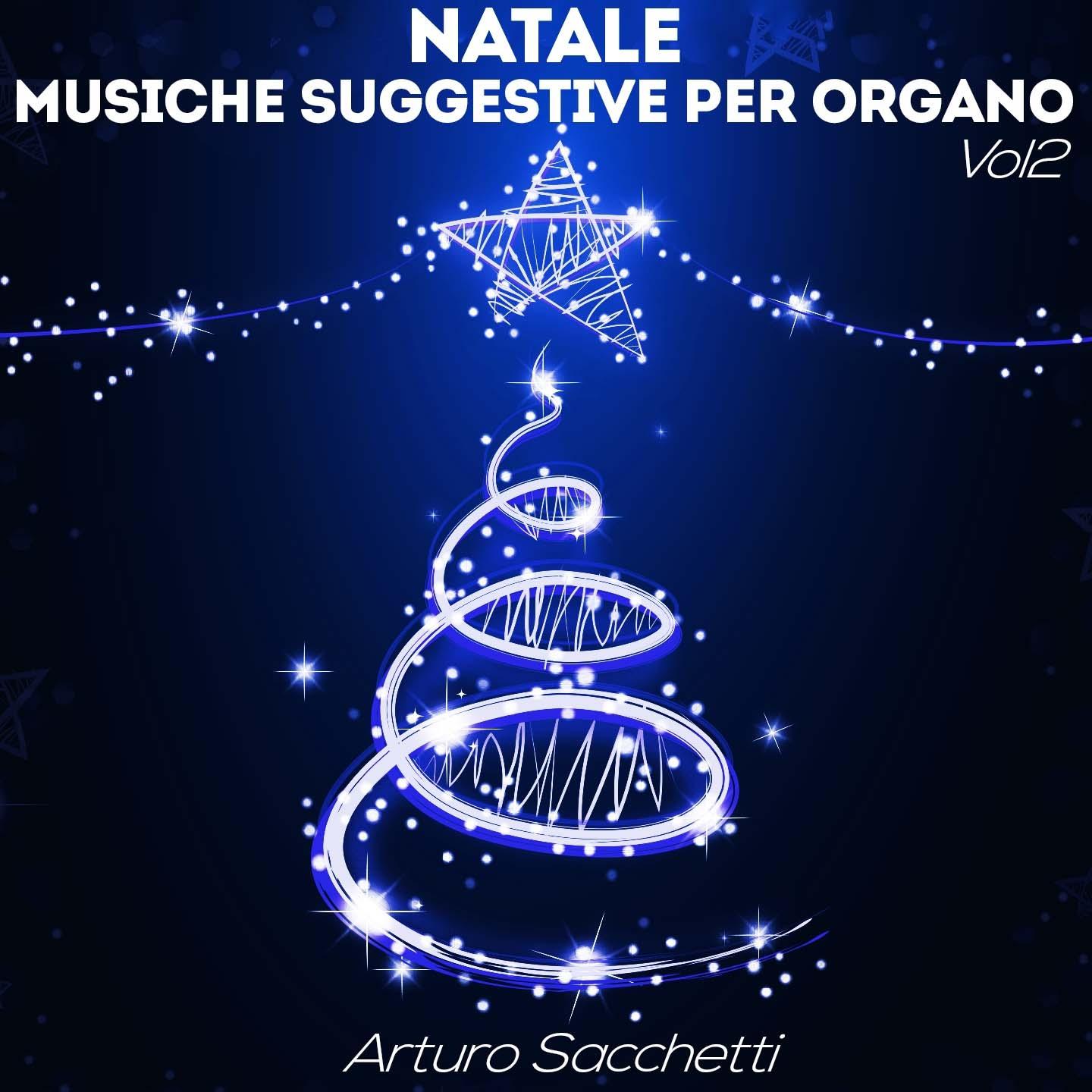 Постер альбома Natale: musiche suggestive per organo, Vol. 2