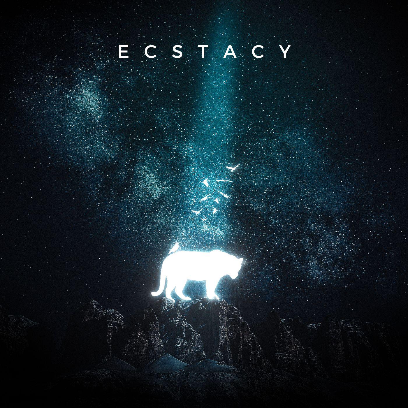 Постер альбома Ecstacy