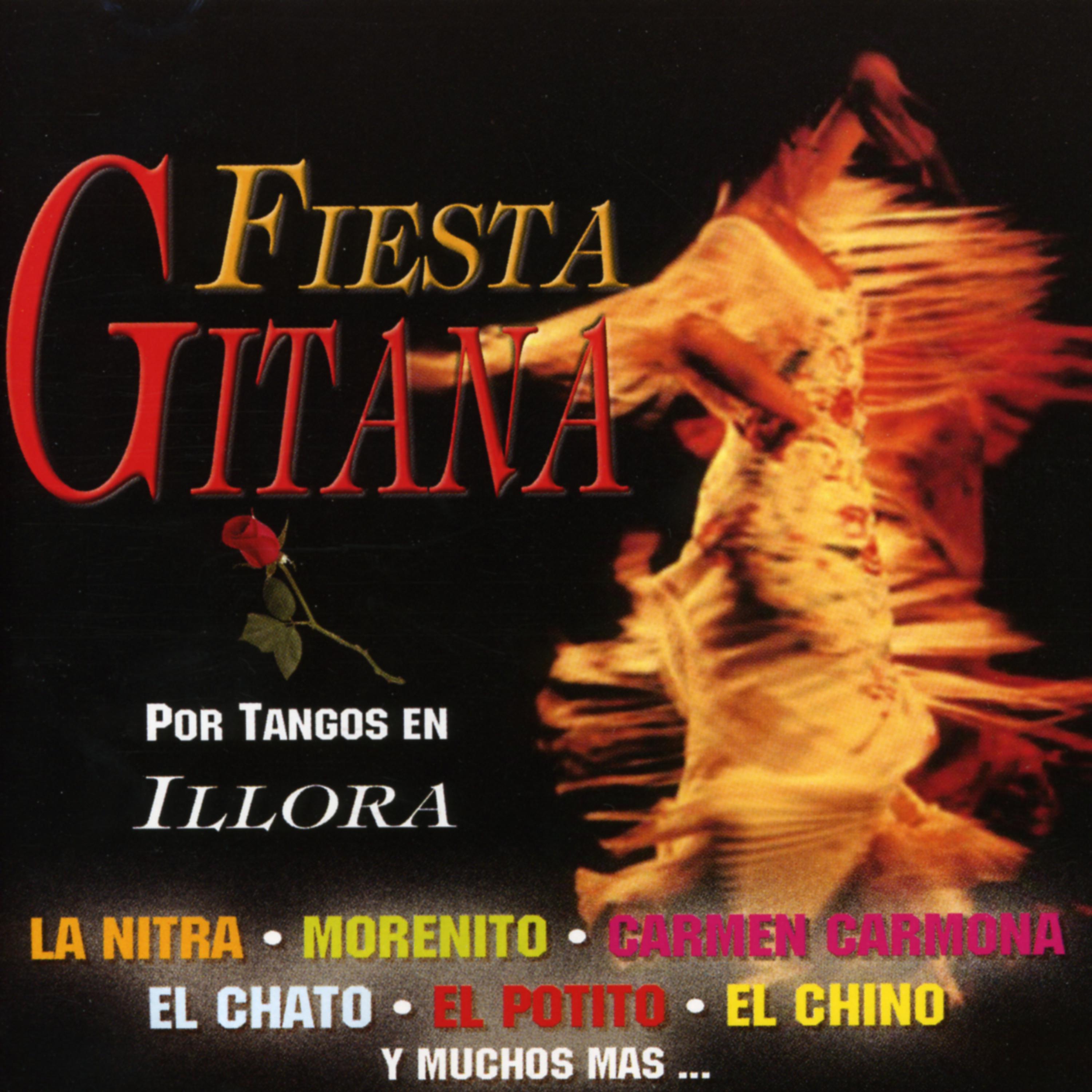 Постер альбома Fiesta Gitana