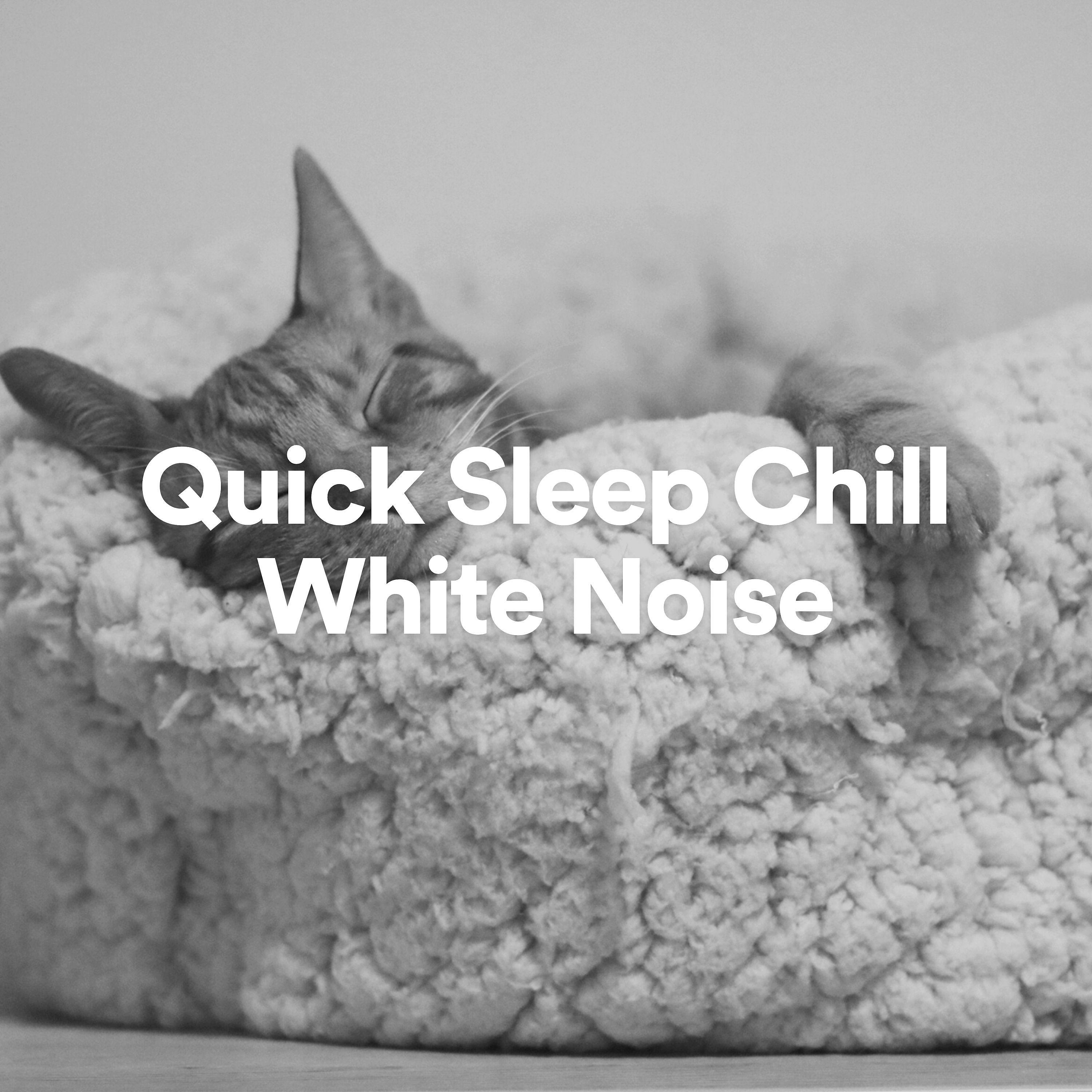 Постер альбома Quick Sleep Chill White Noise