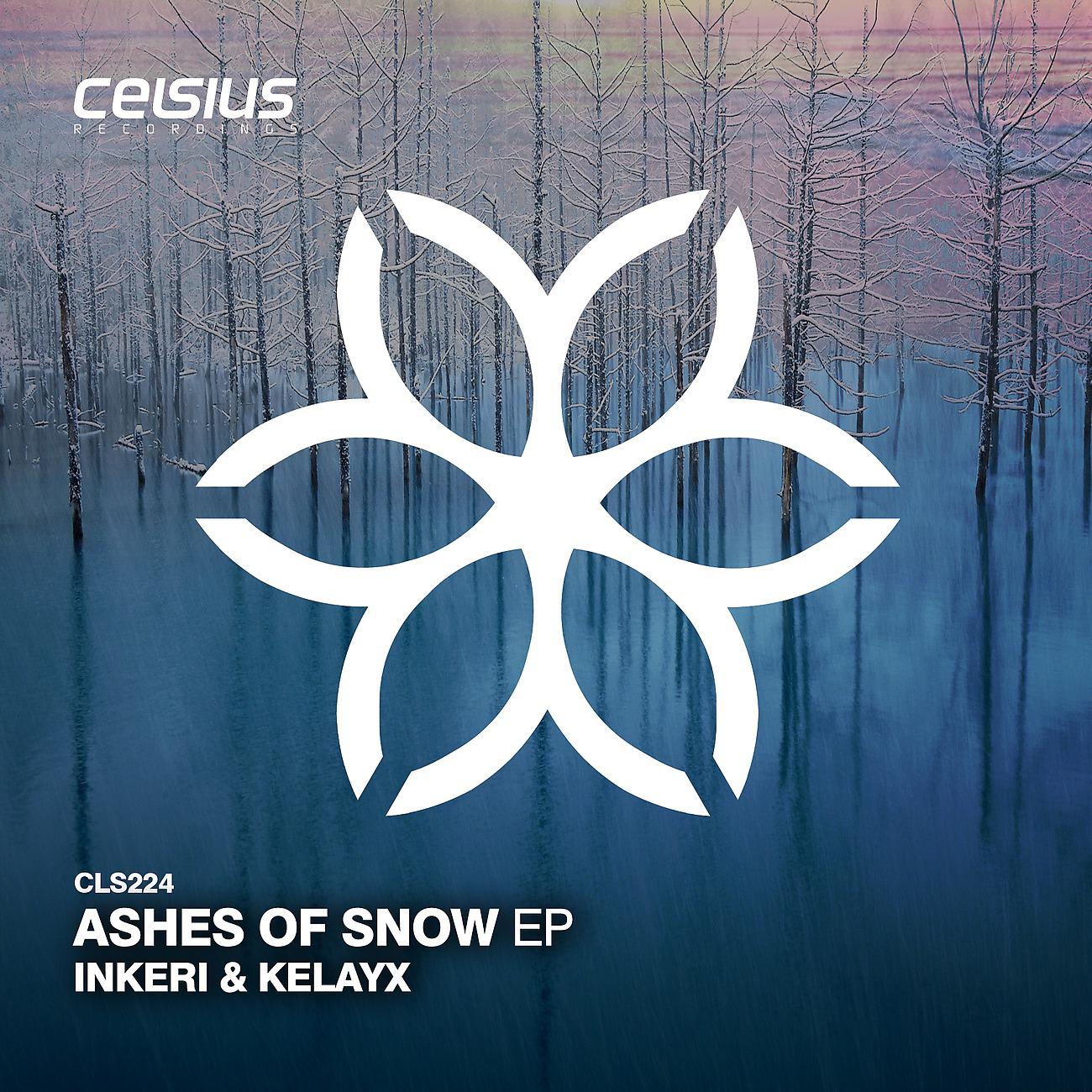 Постер альбома Ashes of Snow EP