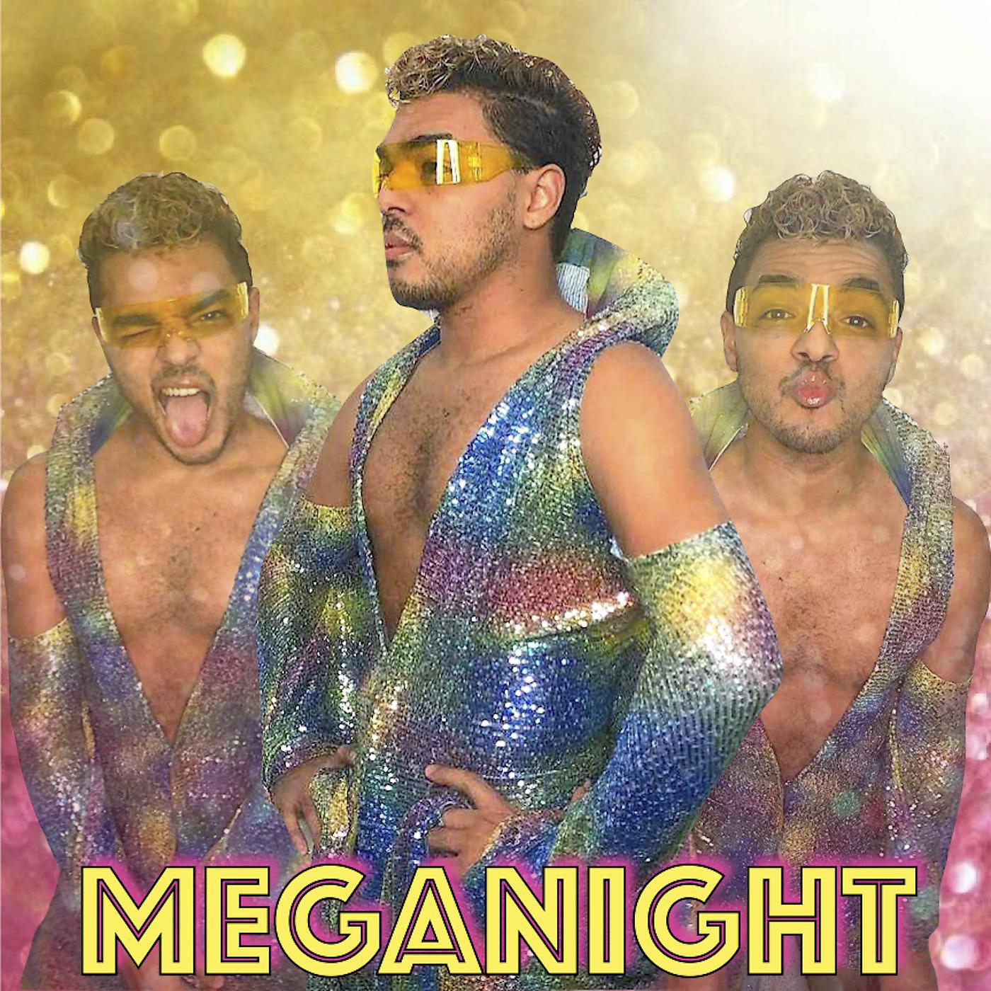 Постер альбома Meganight