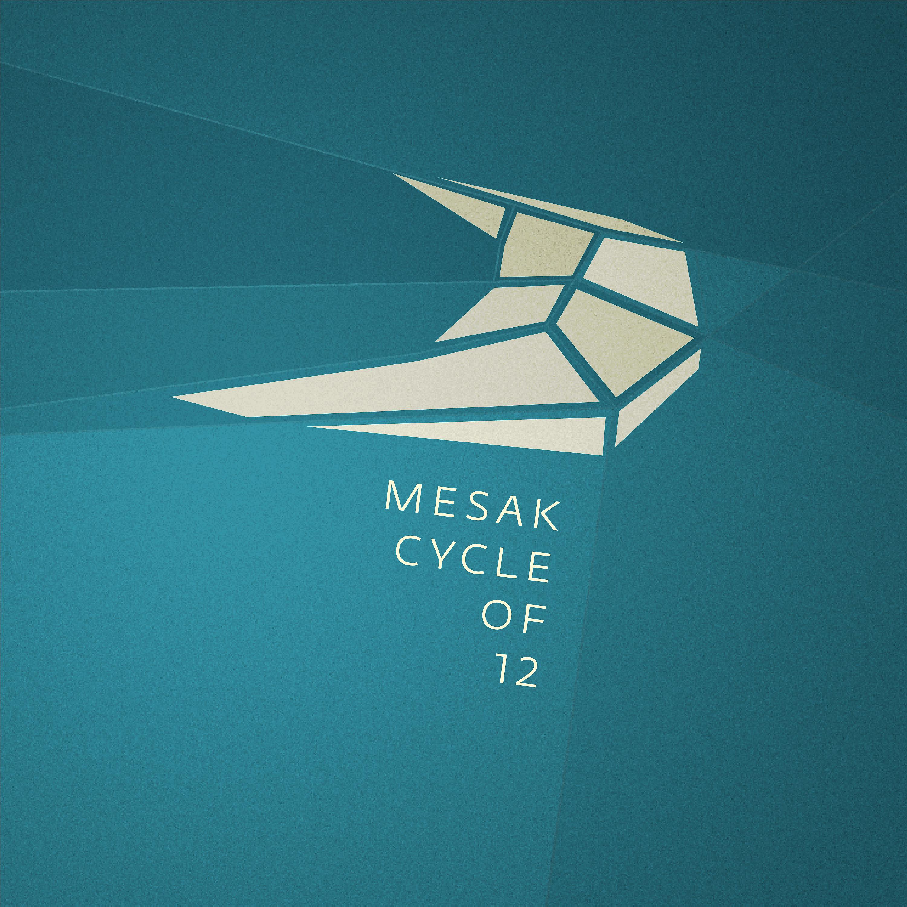 Постер альбома Cycle of 12