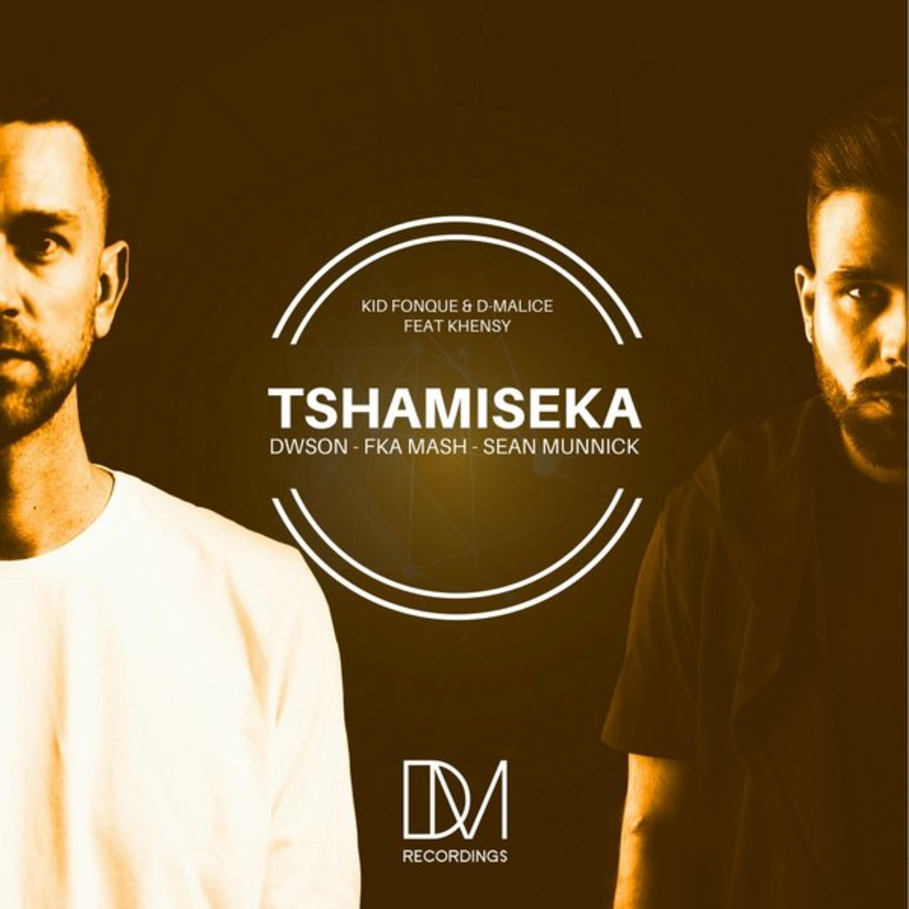 Постер альбома Tshamiseka (The Remixes)