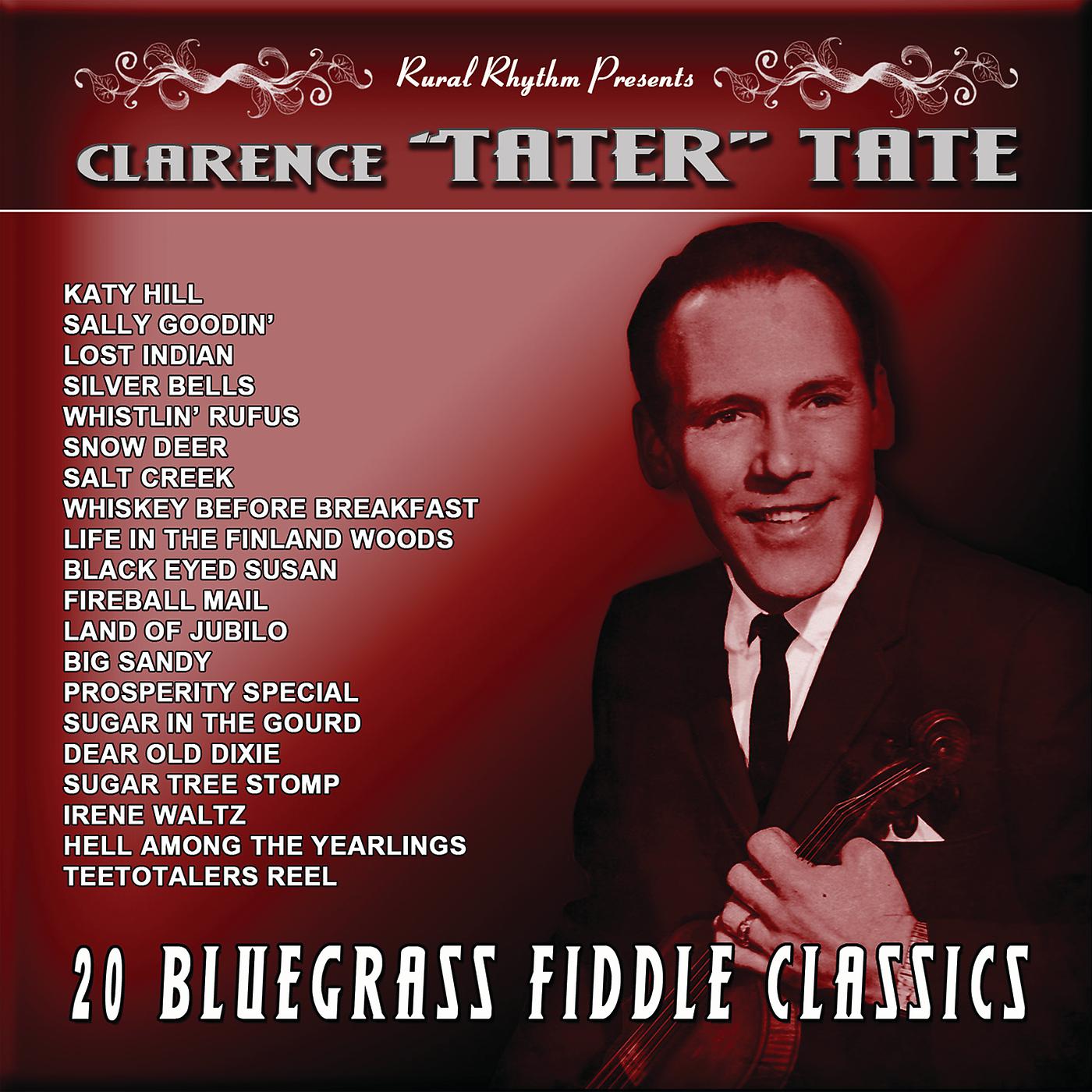 Постер альбома 20 Bluegrass Fiddle Classics