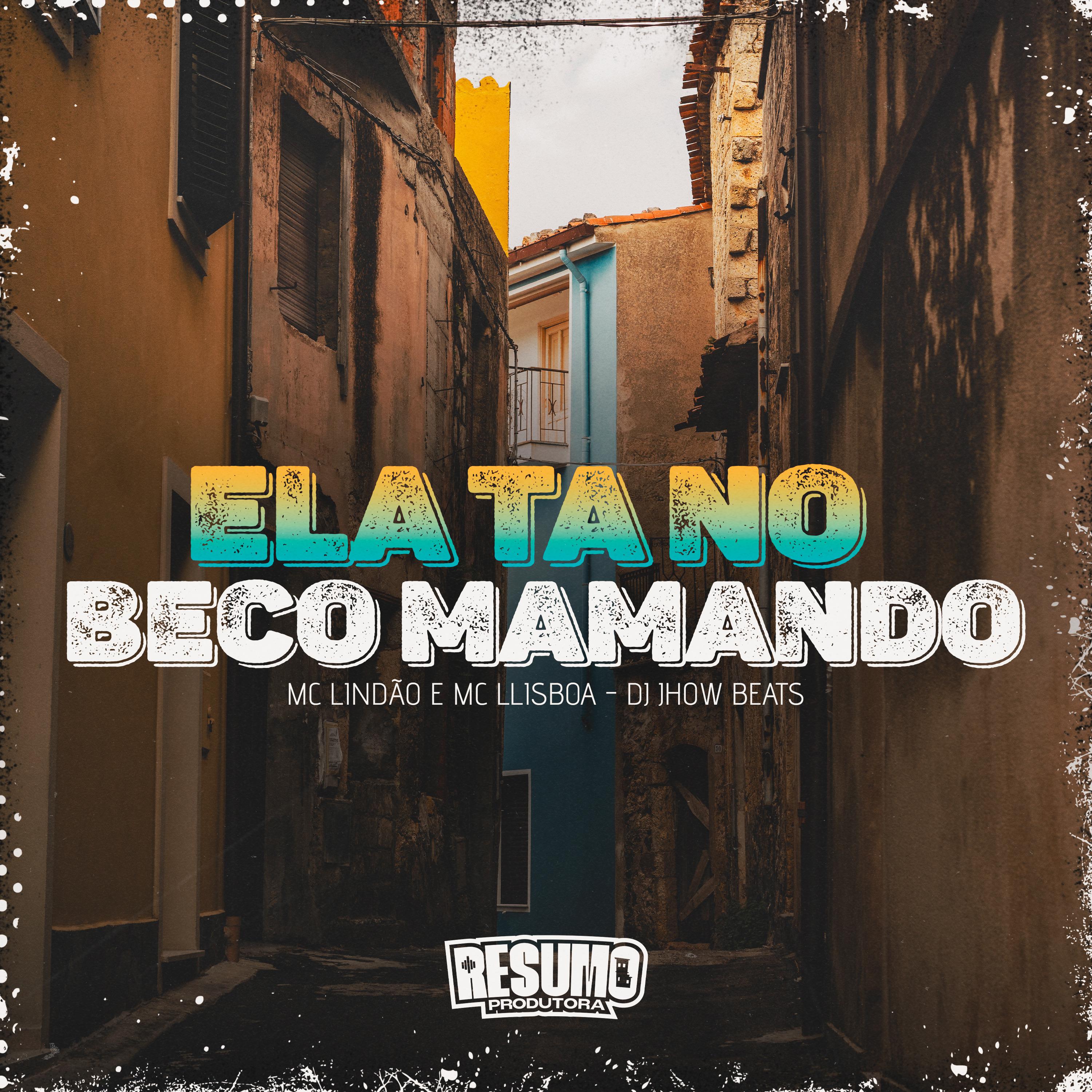 Постер альбома Ela Ta no Beco Mamando