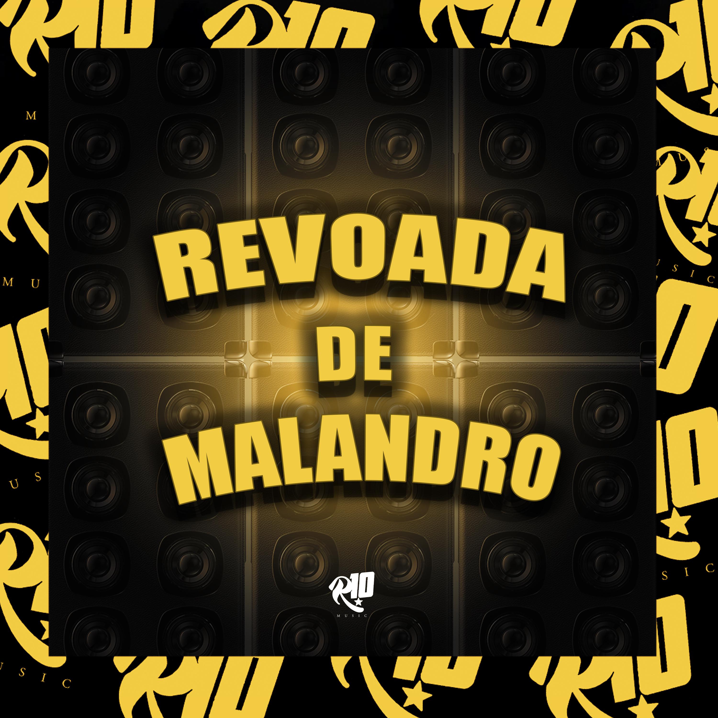 Постер альбома Revoada de Malandro