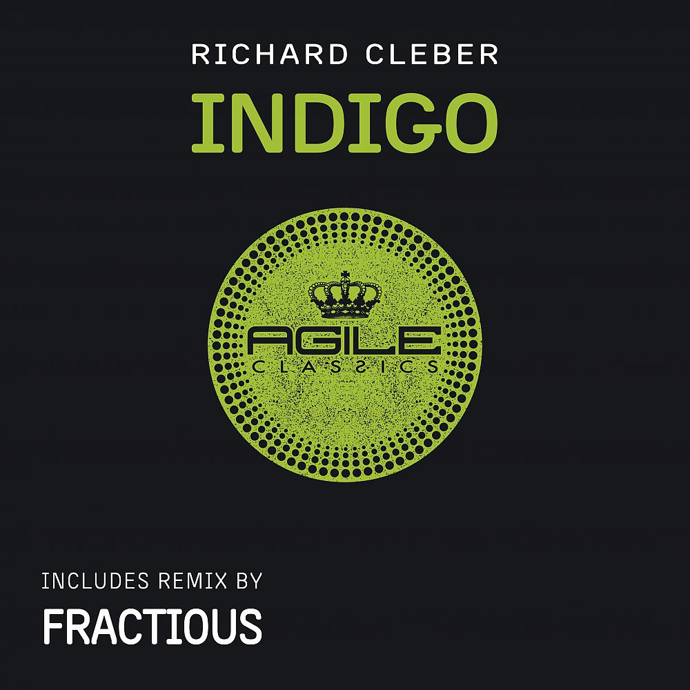 Постер альбома Indigo The Remix