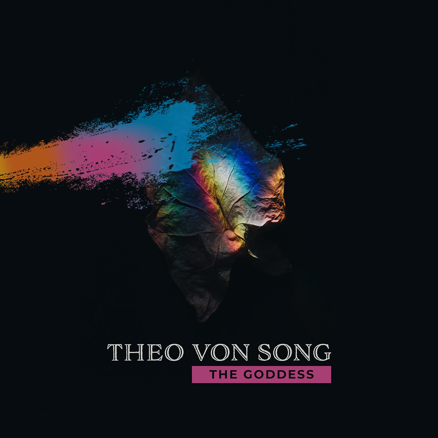 Постер альбома Theo Von Song