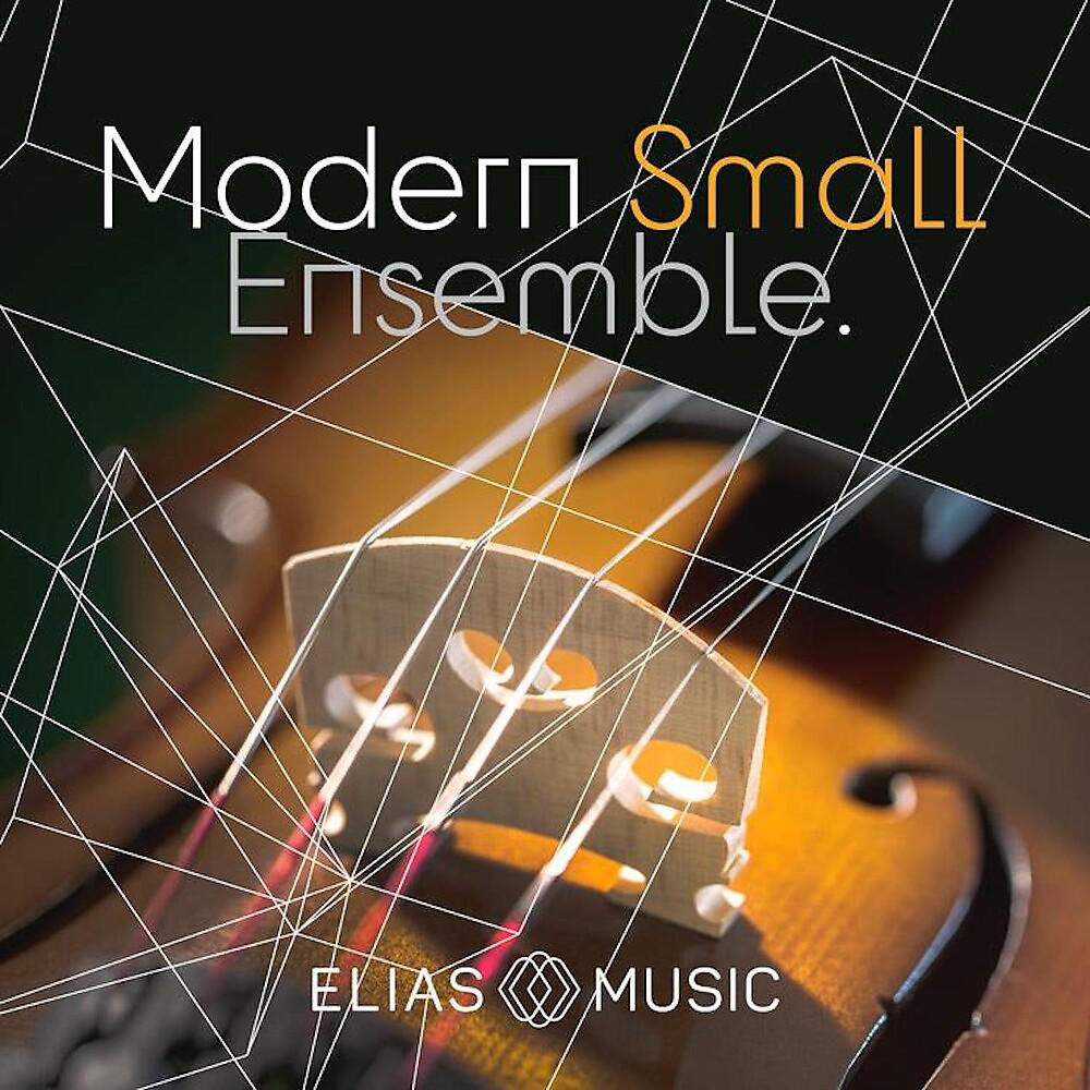 Постер альбома Modern Small Ensemble
