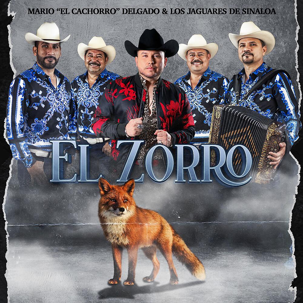 Постер альбома El Zorro