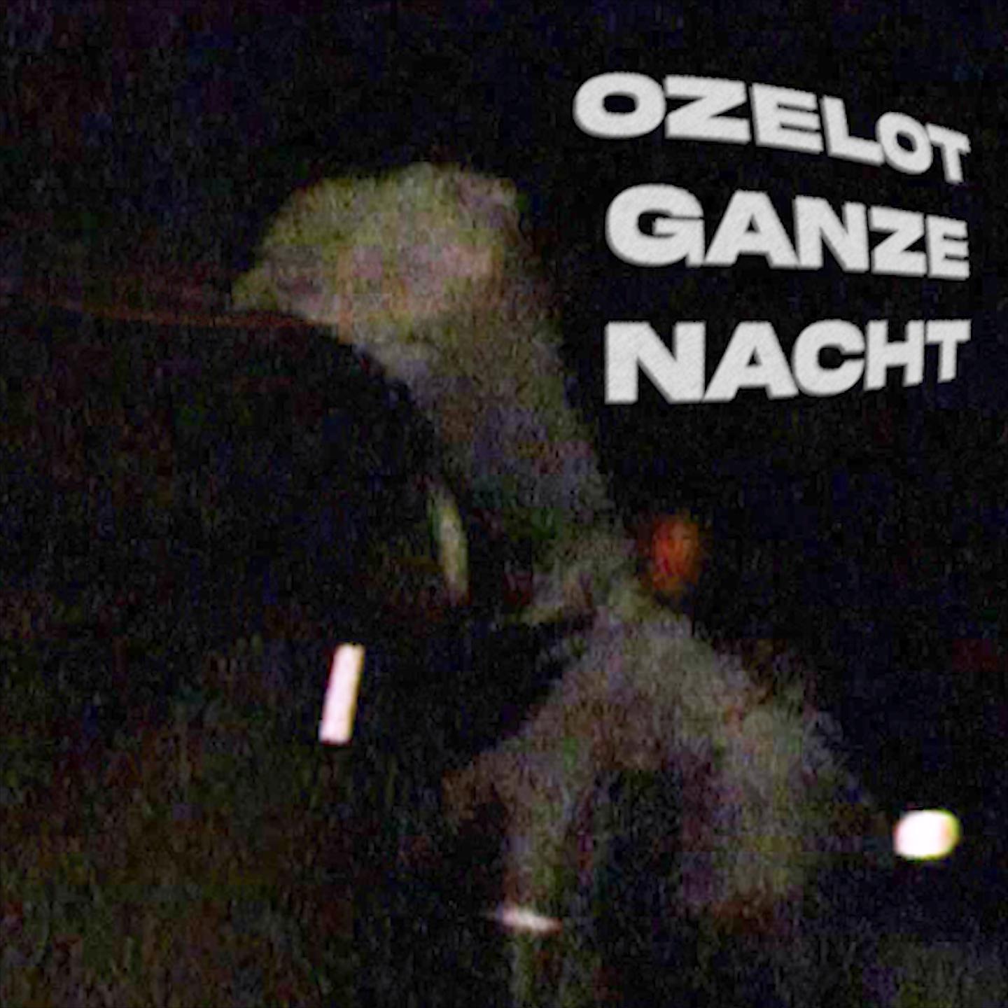 Постер альбома Ganze Nacht