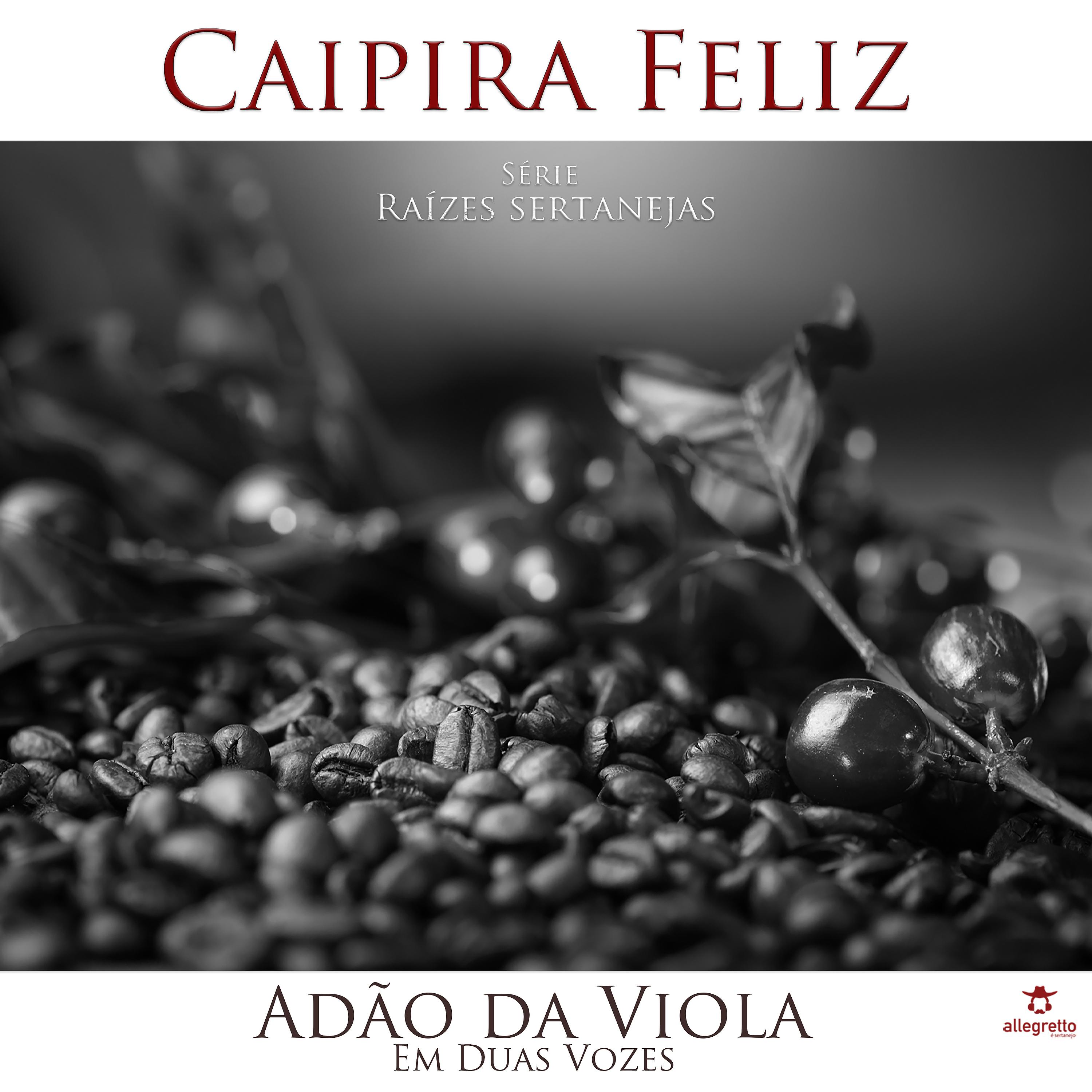 Постер альбома Caipira Feliz Em Duas Vozes