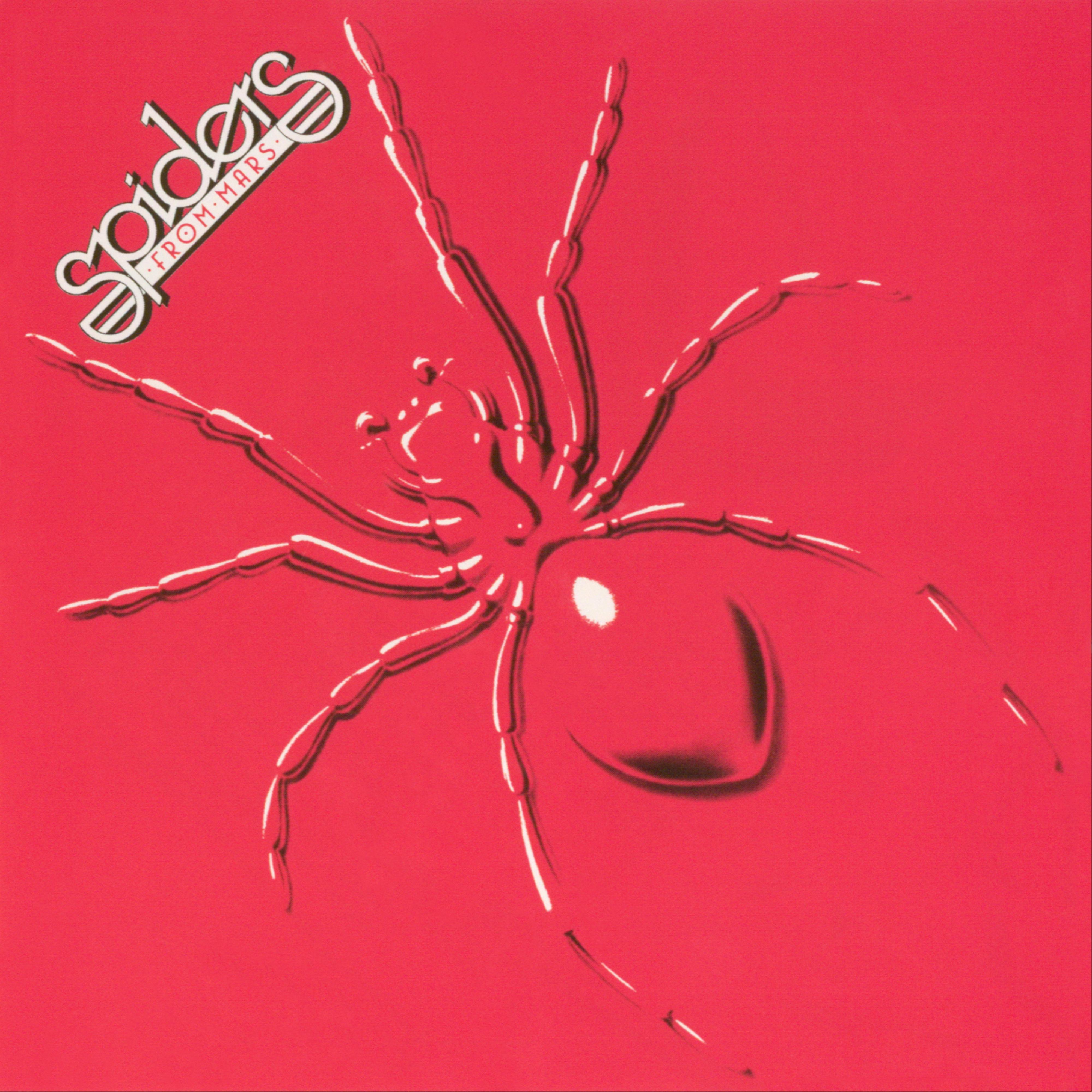 Постер альбома Spiders from Mars (Bonus Track Version)