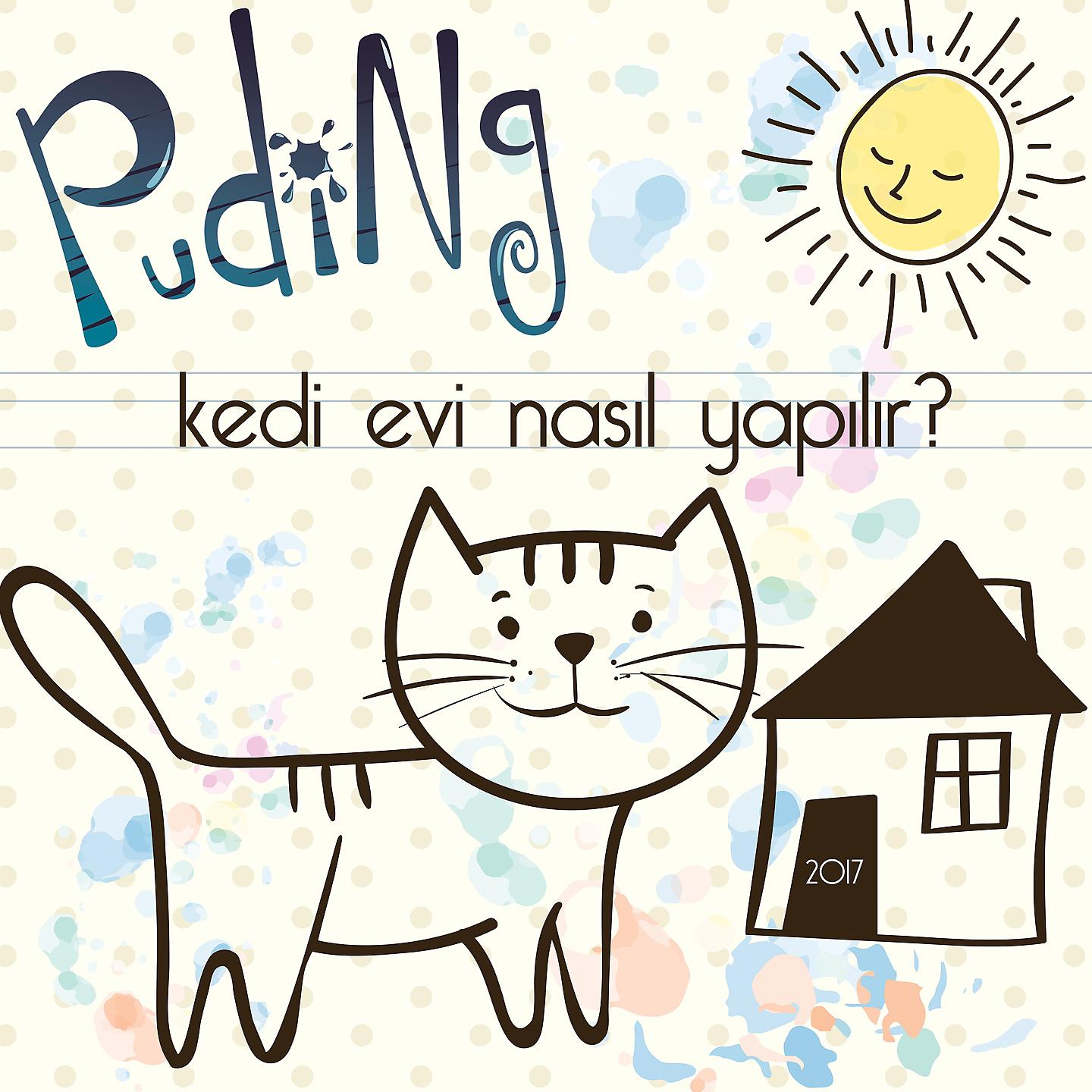 Постер альбома Kedi Evi Nasıl Yapılır?