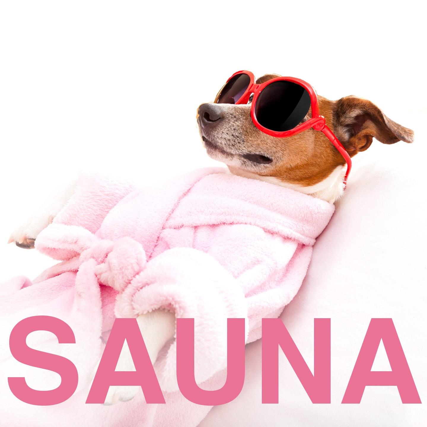Постер альбома Sauna 2016