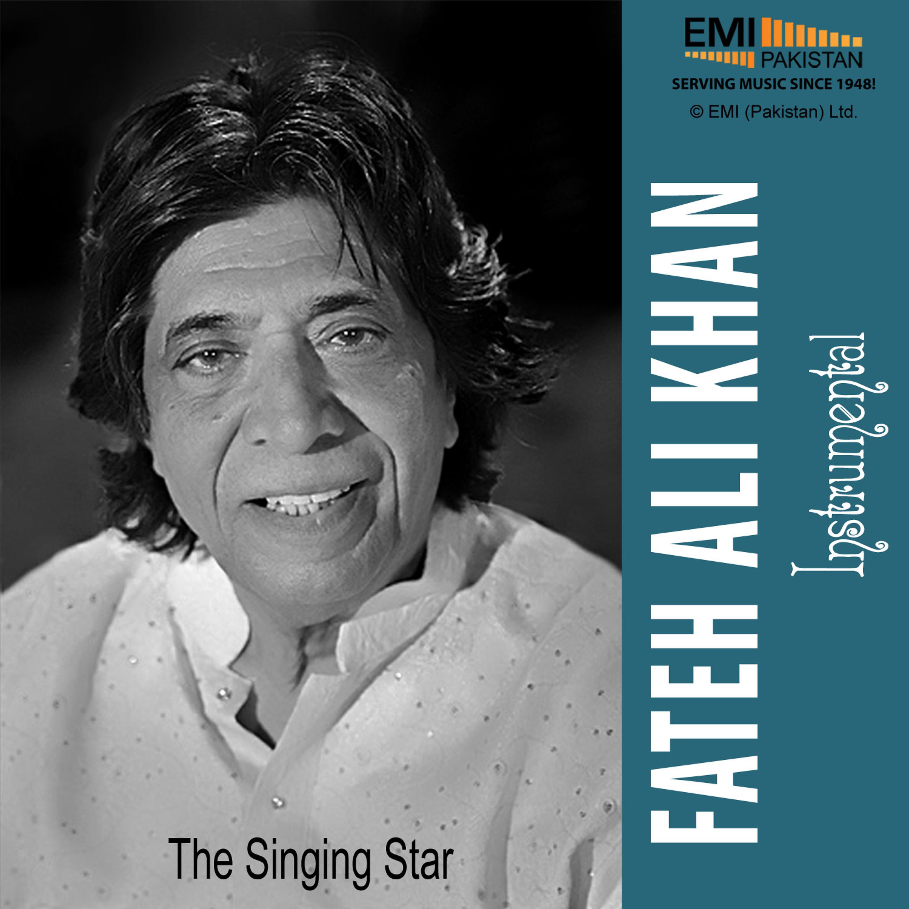Постер альбома The Singing Sitar - Ustad Fateh Ali Khan Instrumental