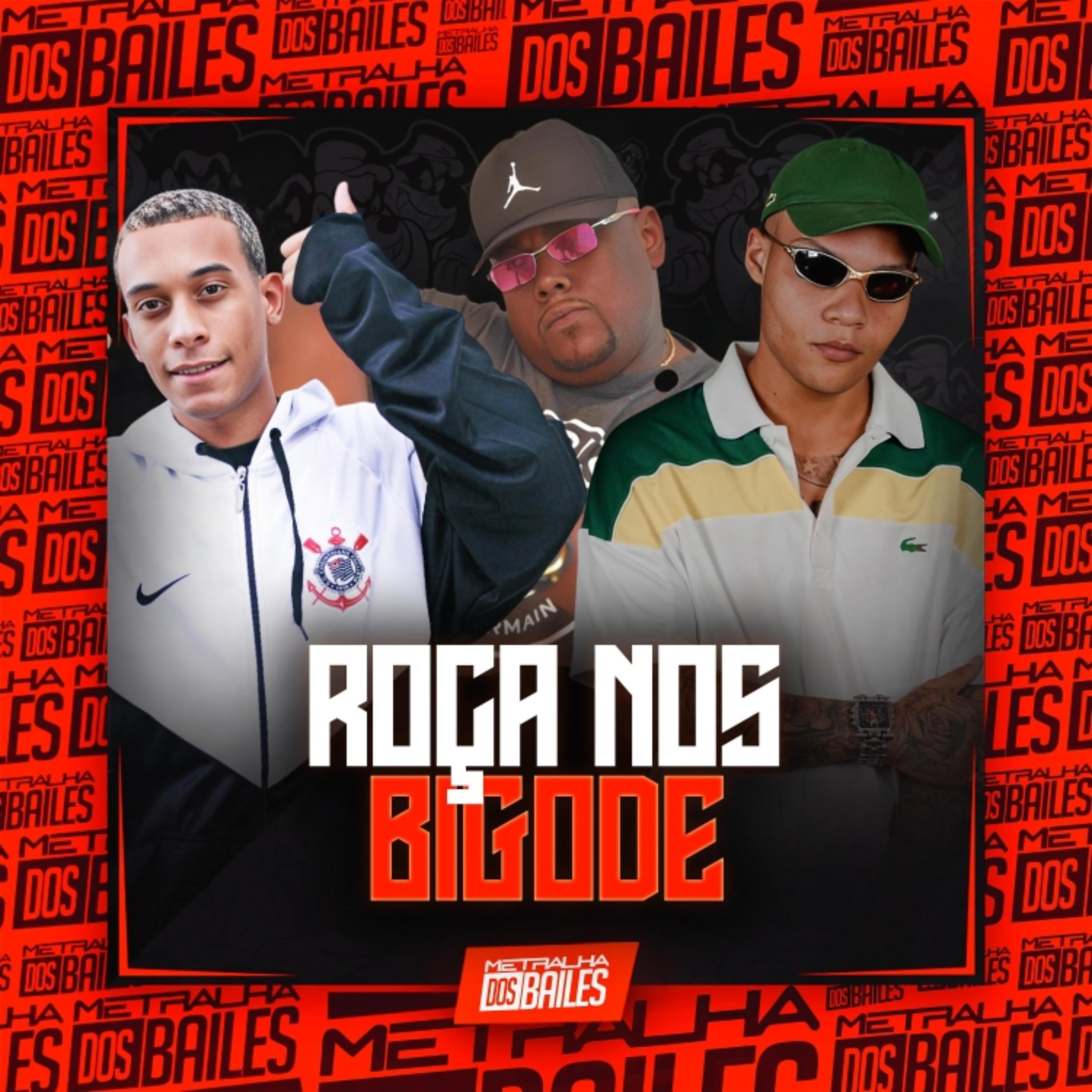 Постер альбома Roça nos Bigode