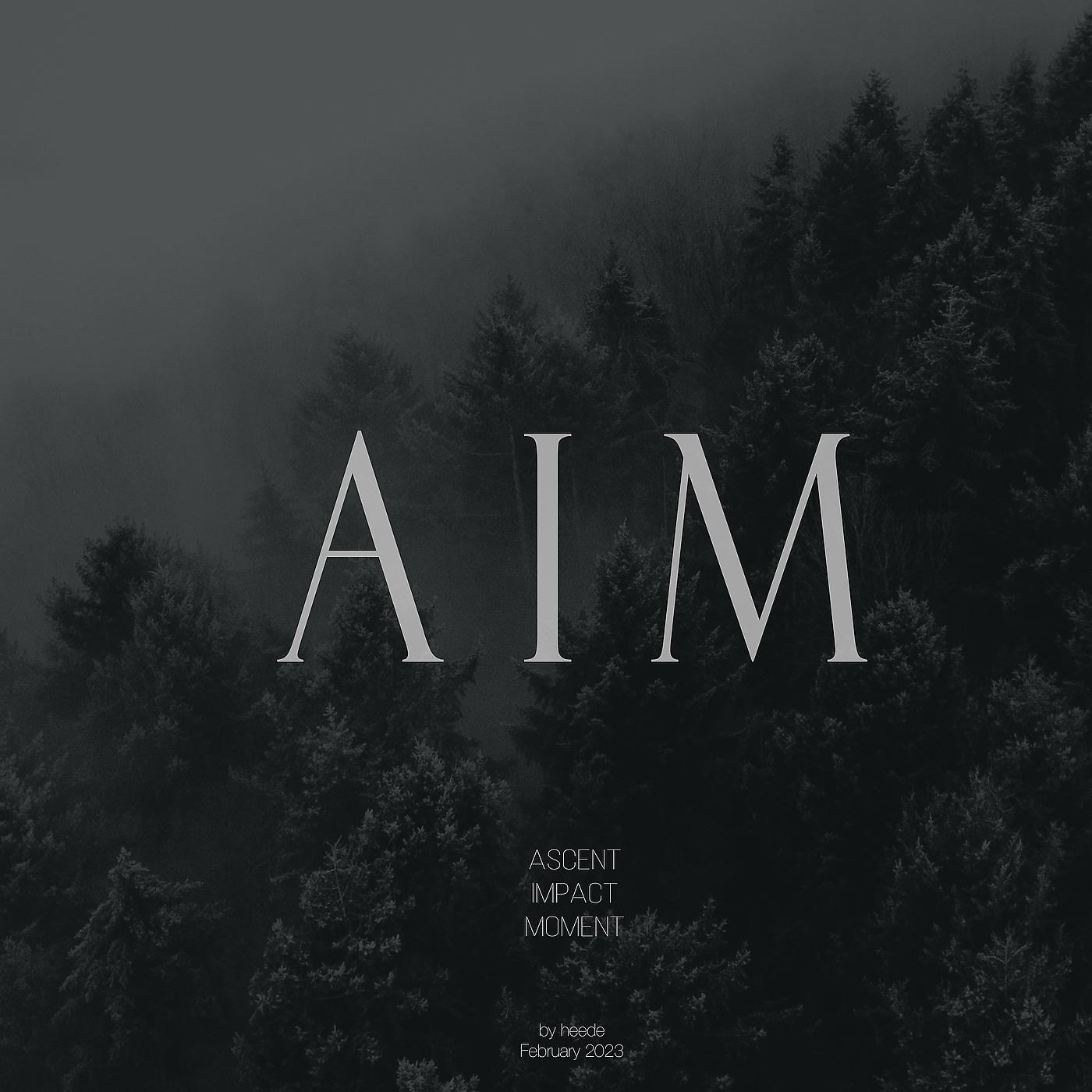 Постер альбома Aim