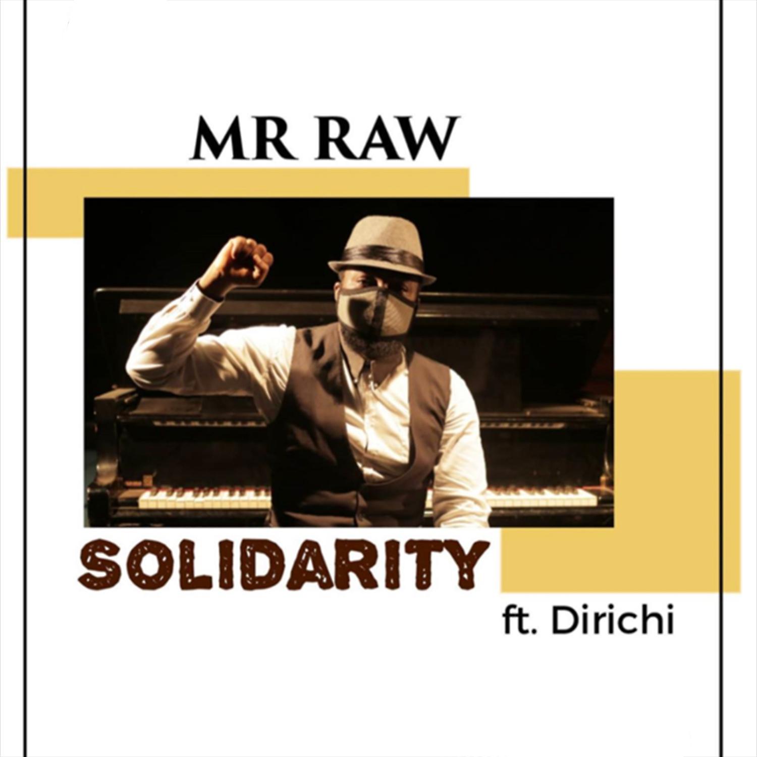 Постер альбома Solidarity (feat. Dirichi)
