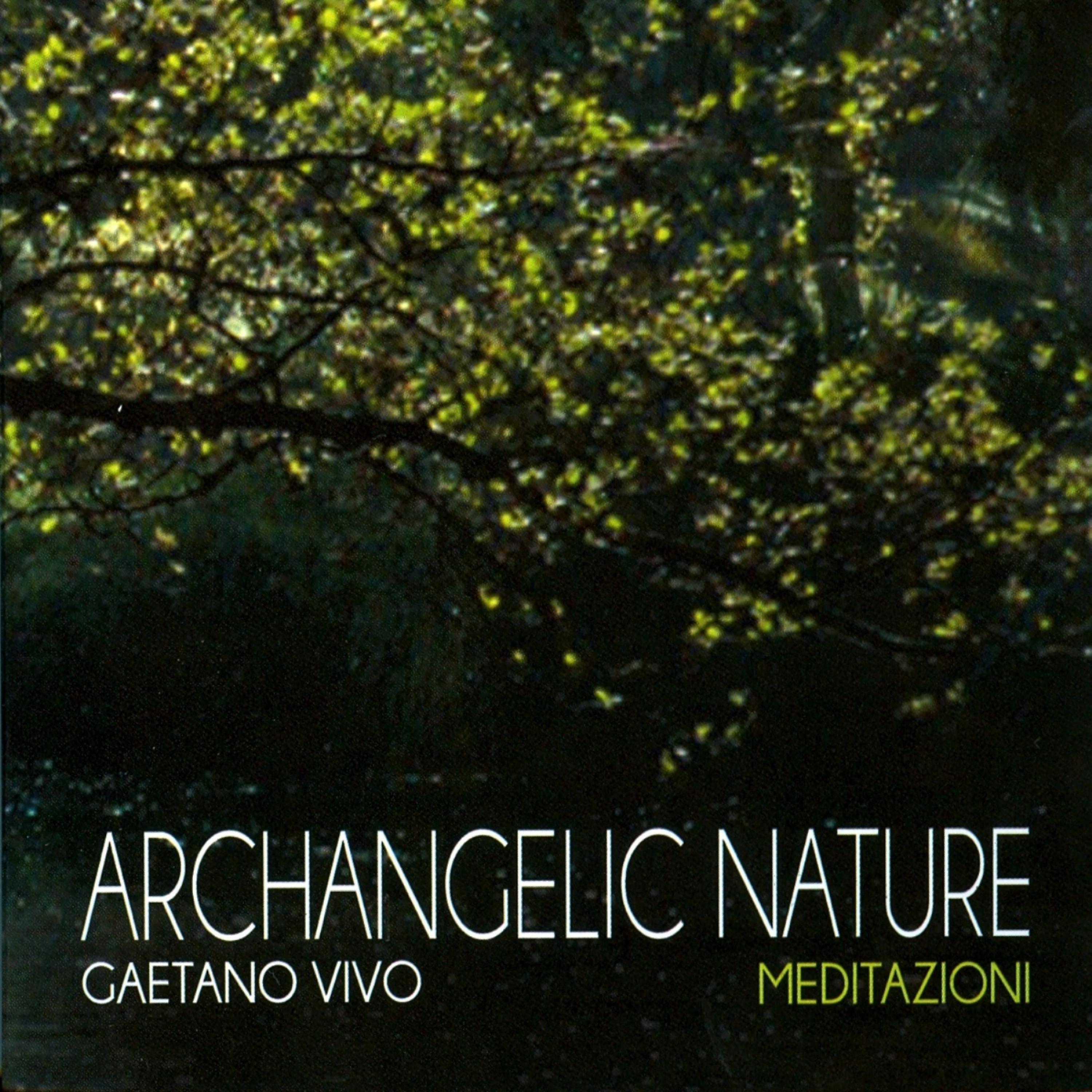Постер альбома Archangelic Nature - Meditazioni (Strumentale)