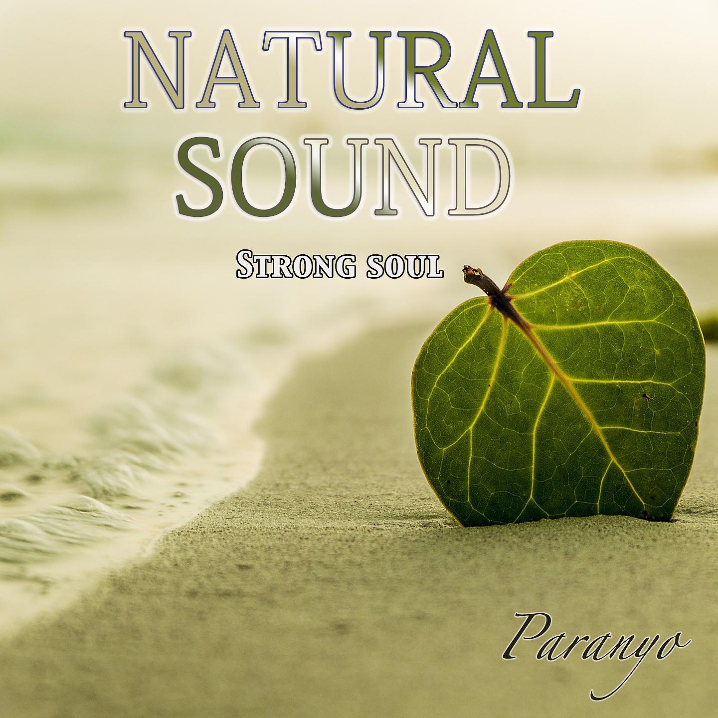Постер альбома Natural sound