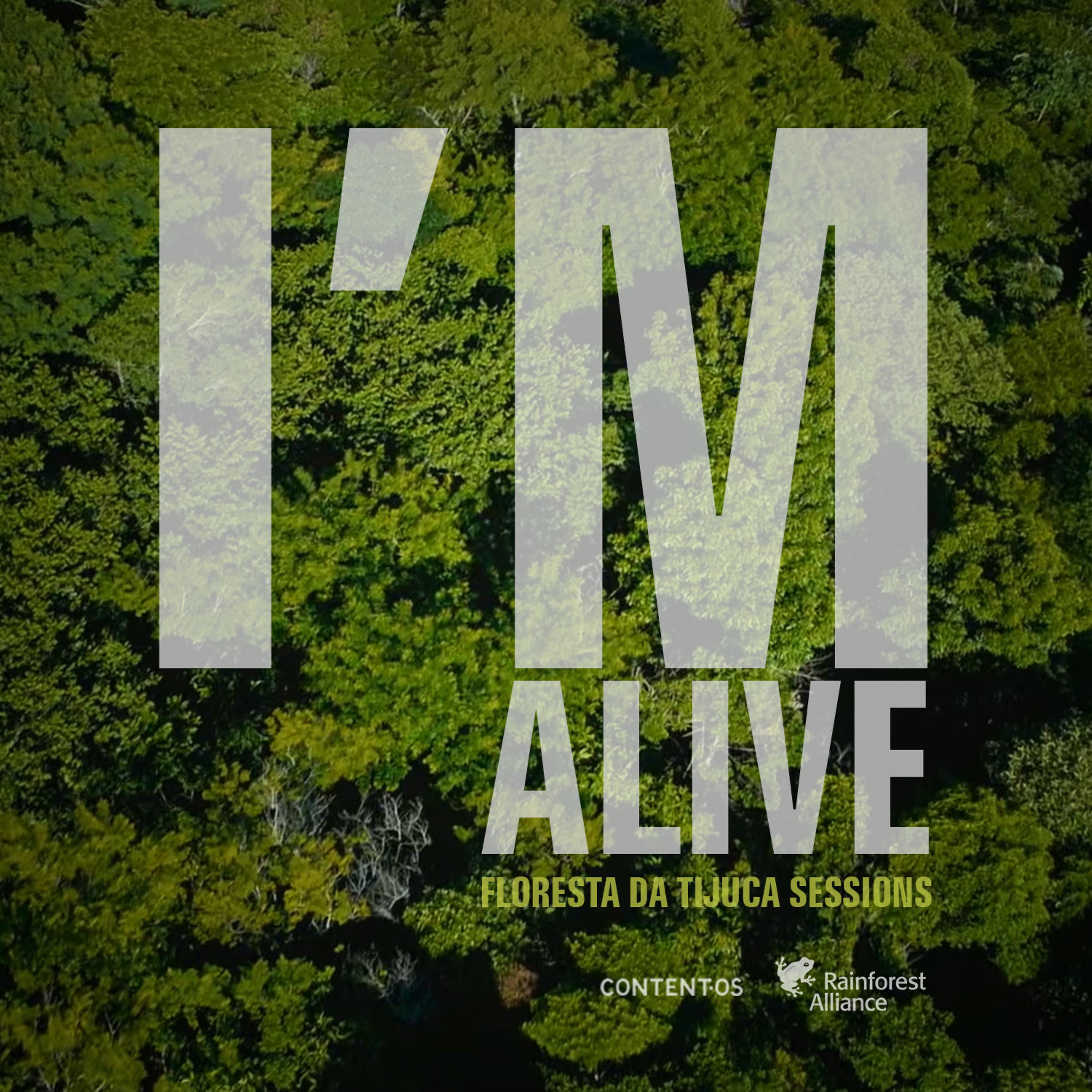 Постер альбома I'm Alive (Floresta da Tijuca Sessions)