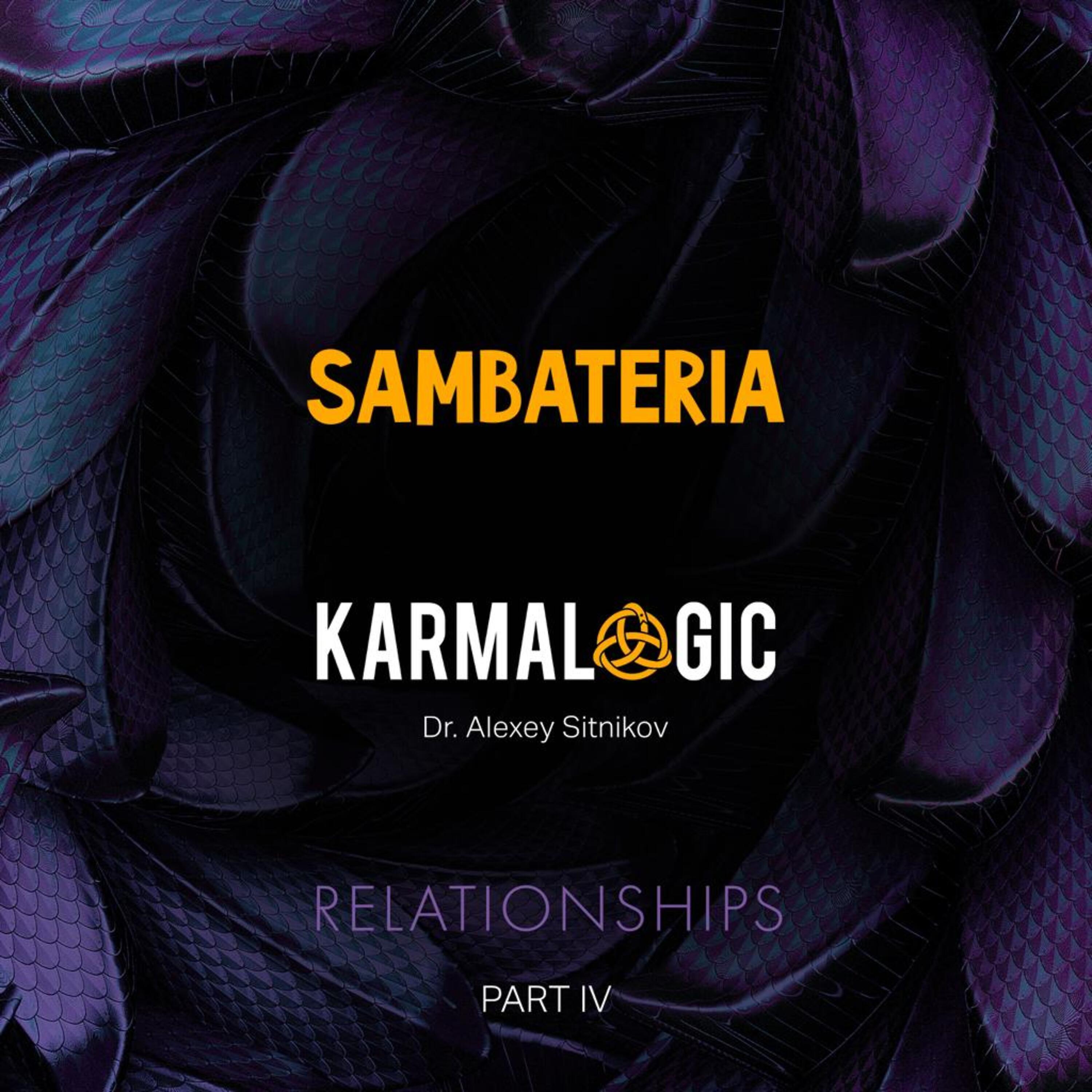 Постер альбома Karmalogic Relationships (Part IV)