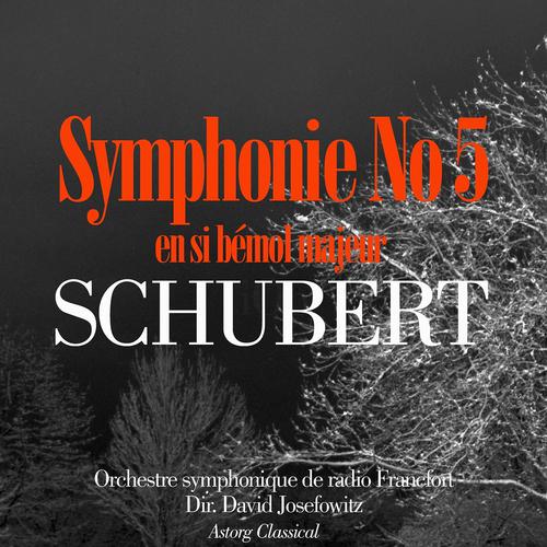 Постер альбома Schubert: Symphony No.5 in B Flat Major D. 485