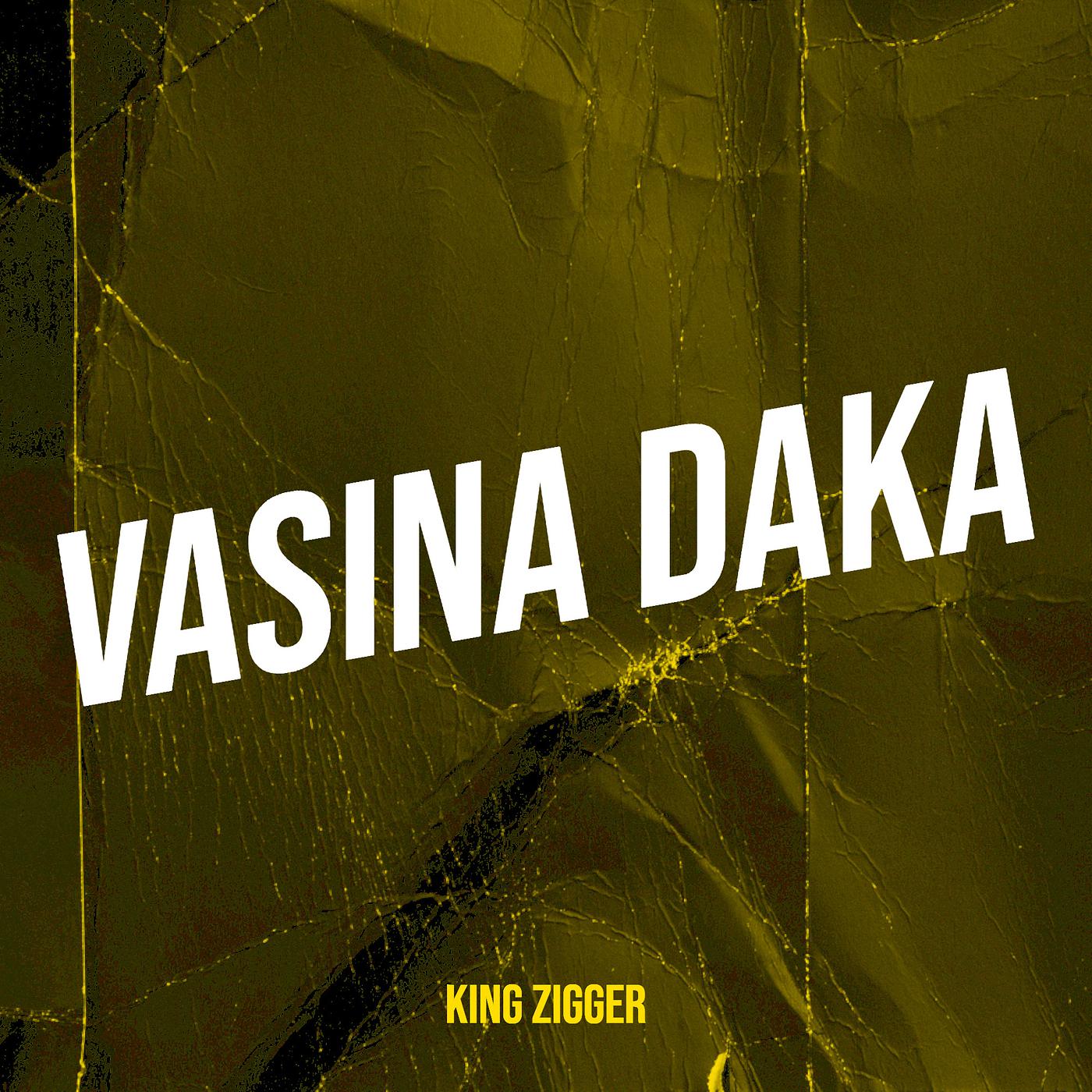 Постер альбома Vasina Daka