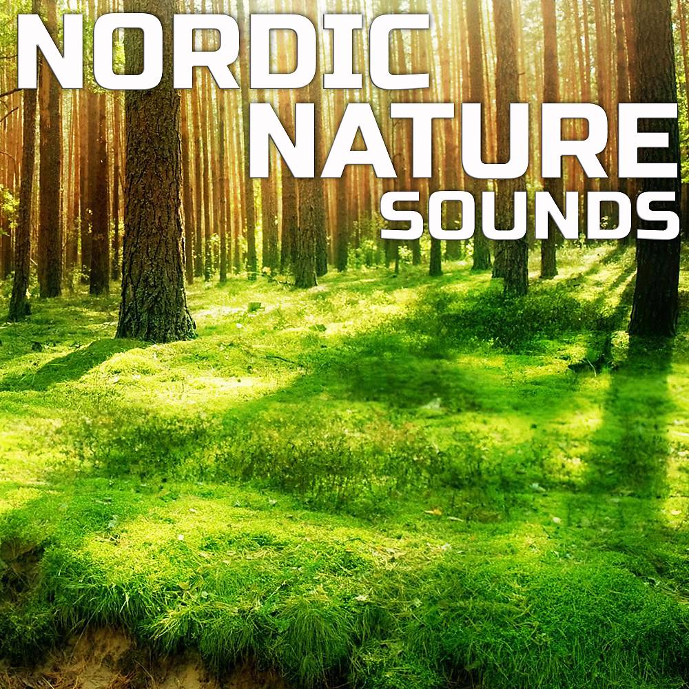 Постер альбома Nordic Nature Sounds
