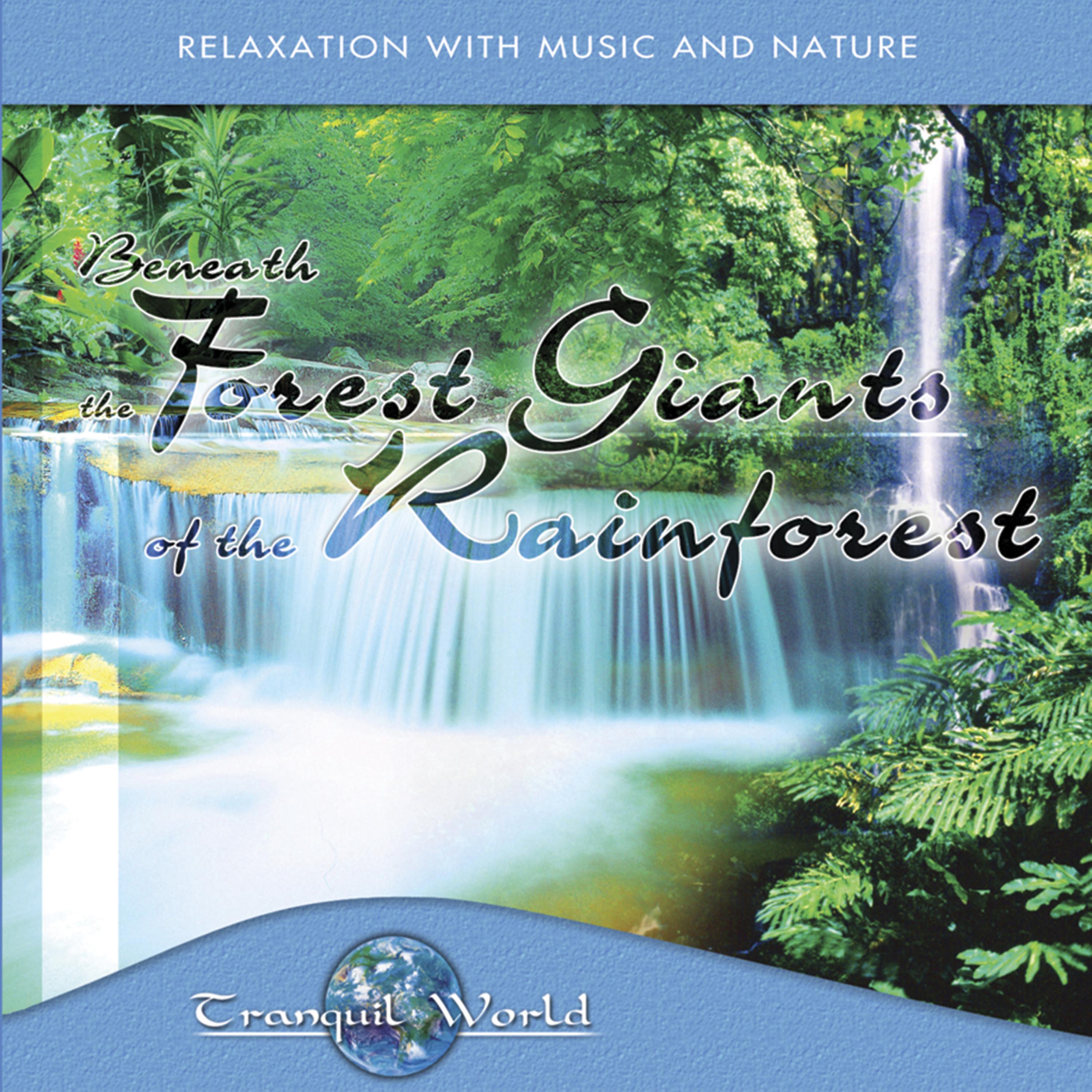 Постер альбома Tranquil World - Under The Forest Giant Of The Rainforest